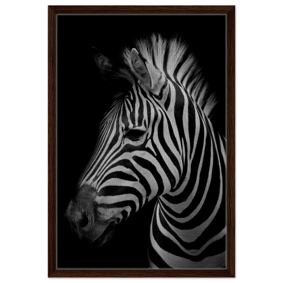 Da Vinci Animal Kingdom Wall art print | Zebra - Framed Canvas - 50x75 cm / 20x30″ - Dark wood frame