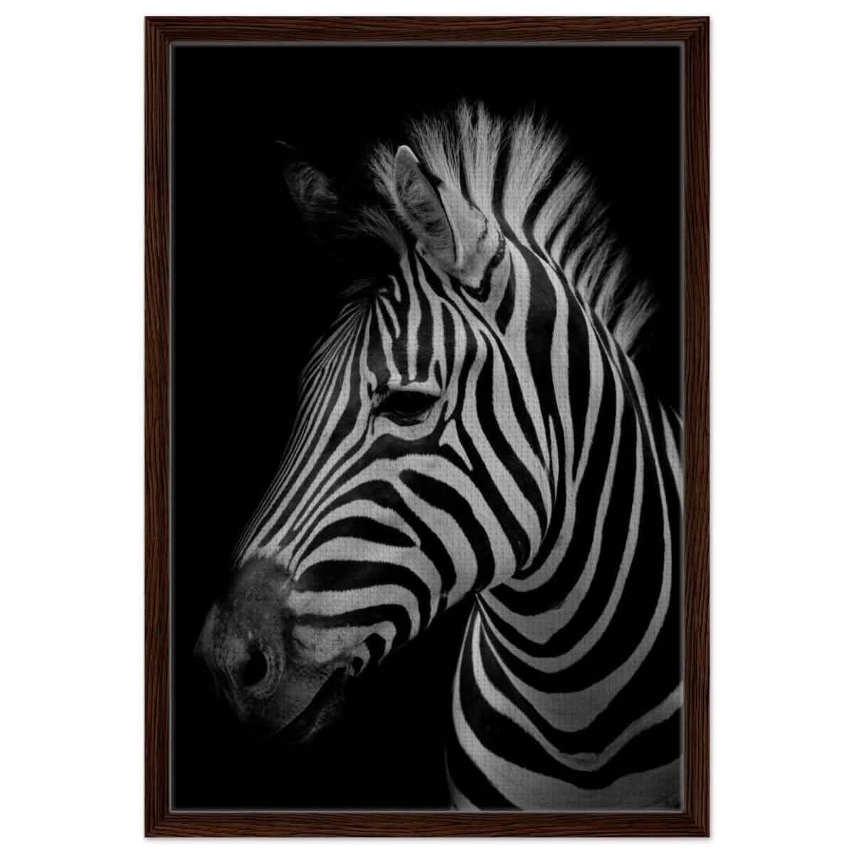 Da Vinci Animal Kingdom Wall art print | Zebra - Framed Canvas - 50x75 cm / 20x30″ - Dark wood frame