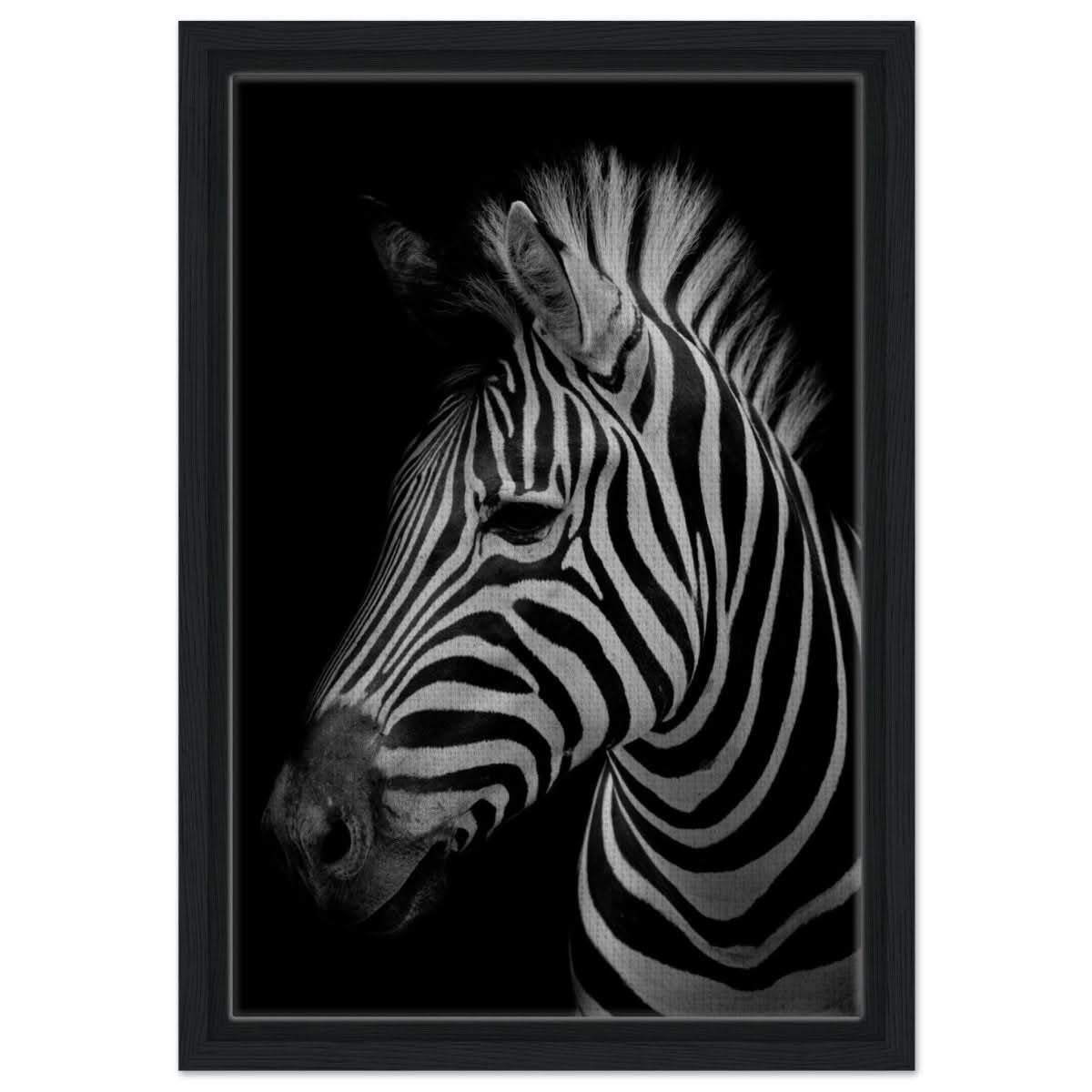 Da Vinci Animal Kingdom Wall art print | Zebra - Framed Canvas - 30x45 cm / 12x18″ - Black frame