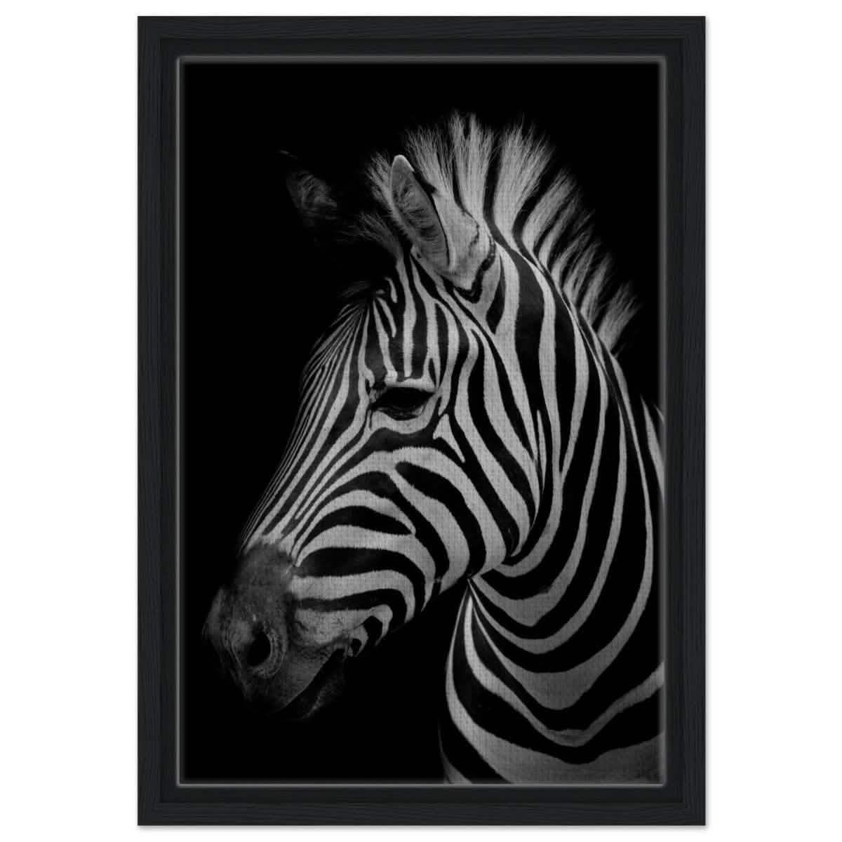 Da Vinci Animal Kingdom Wall art print | Zebra - Framed Canvas - 30x45 cm / 12x18″ - Black frame