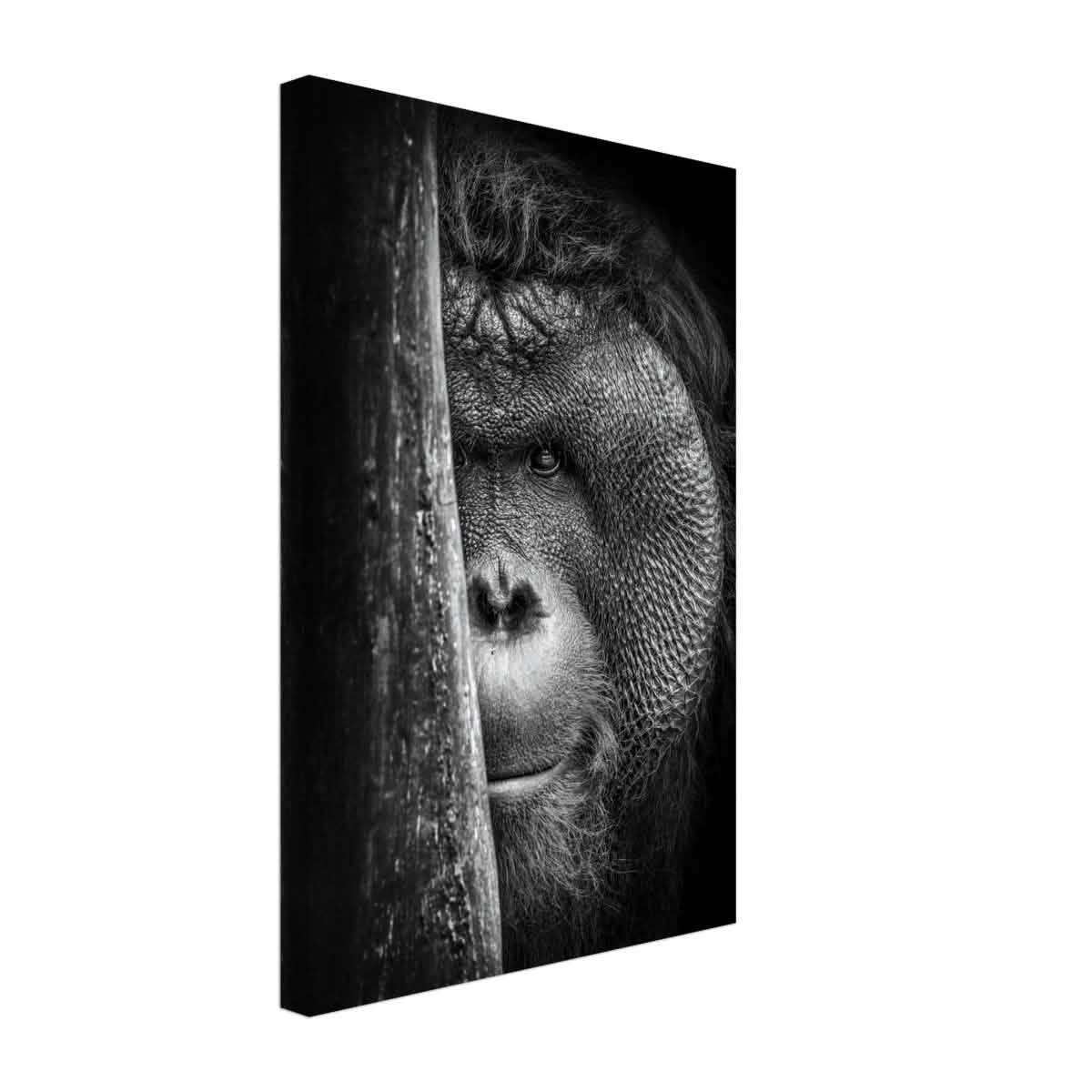 Da Vinci Animal Kingdom Wall art | Wildlife | Apes - Canvas - 30x45 cm / 12x18″ - Slim
