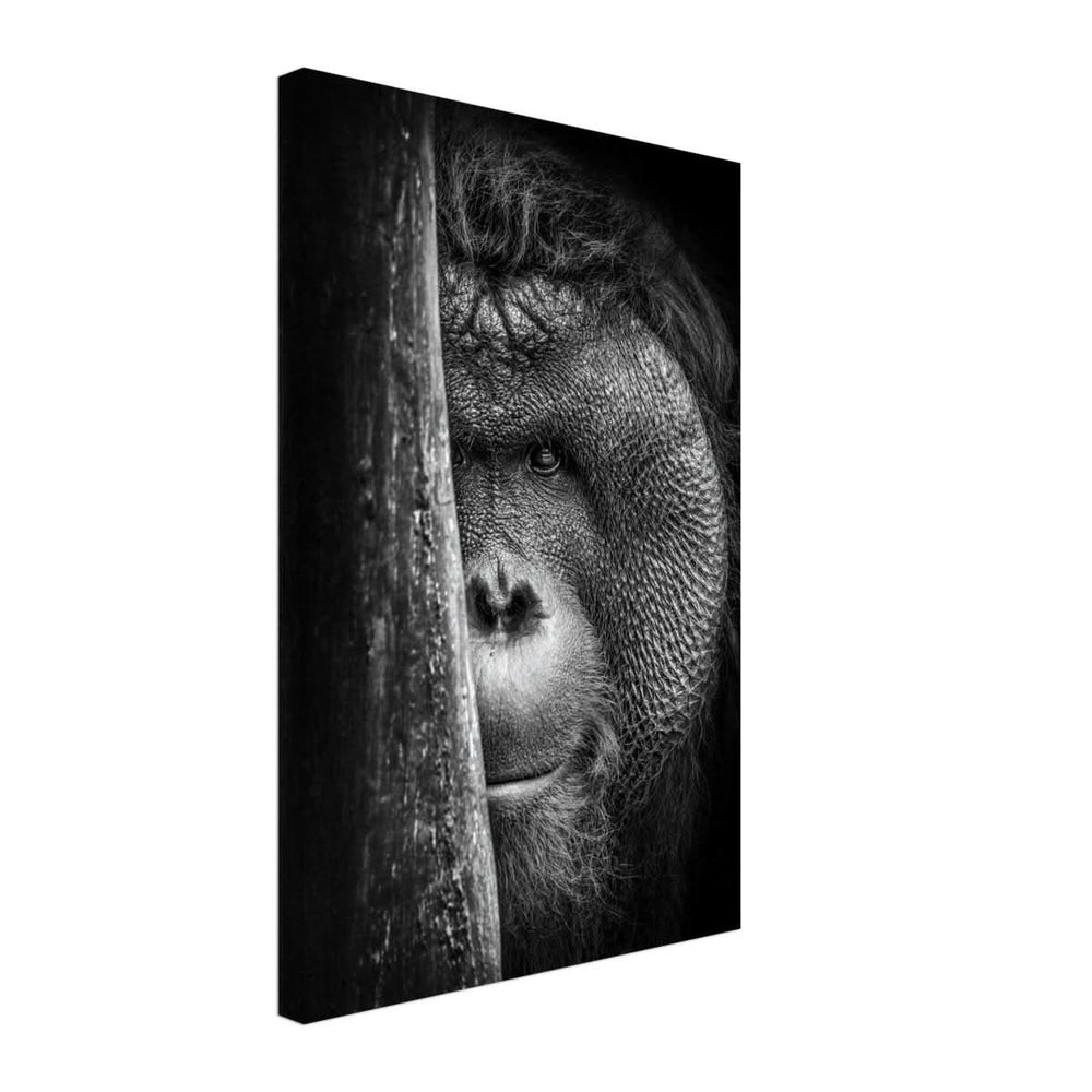 Da Vinci Animal Kingdom Wall art | Wildlife | Apes - Canvas - 40x60 cm / 16x24″ - Thick