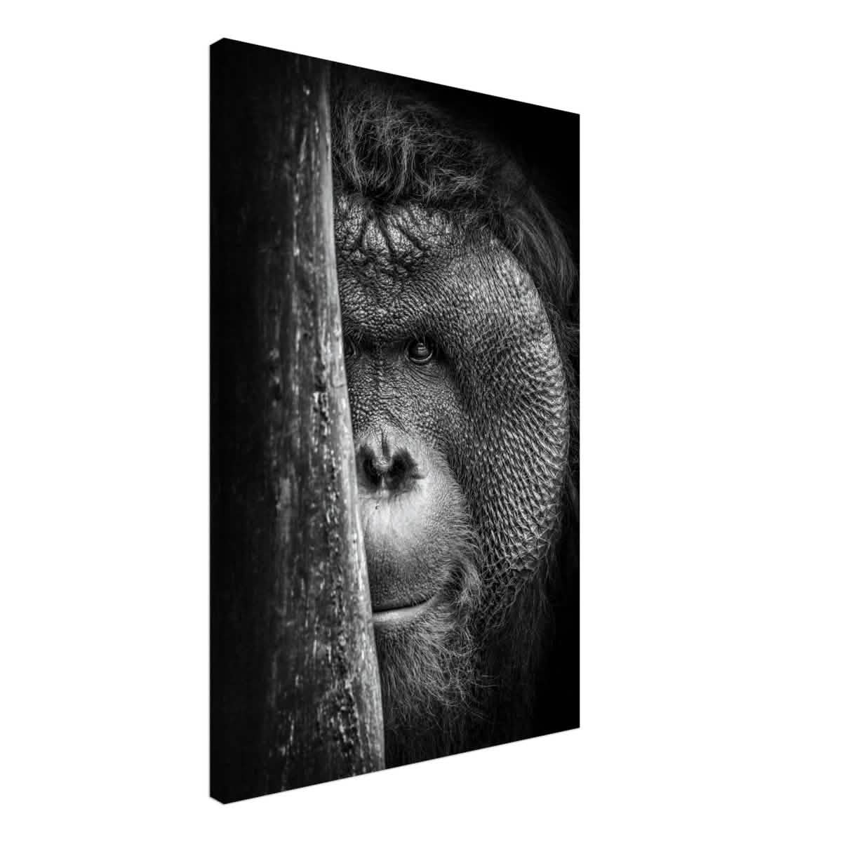 Da Vinci Animal Kingdom Wall art | Wildlife | Apes - Canvas - 50x75 cm / 20x30″ - Slim