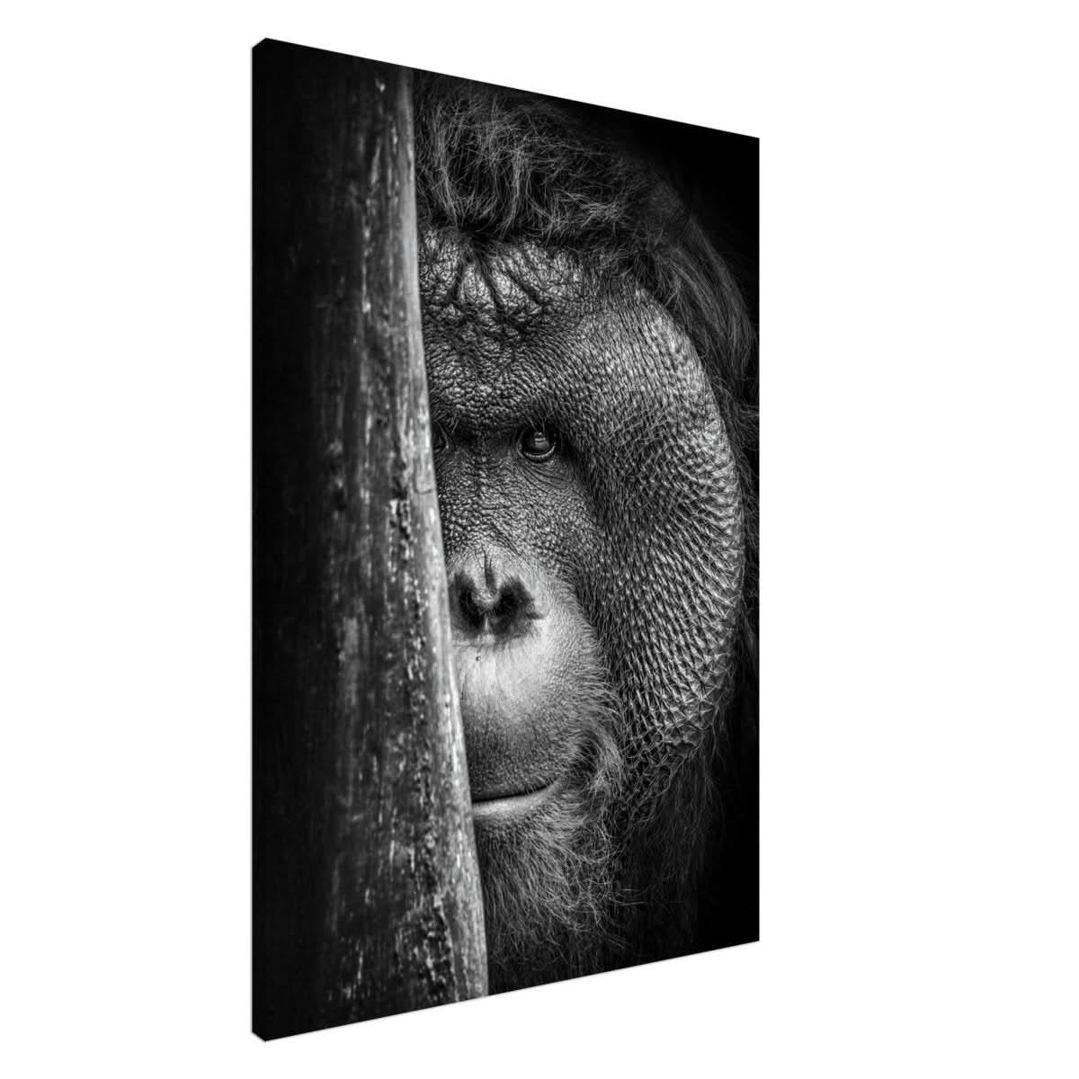 Da Vinci Animal Kingdom Wall art | Wildlife | Apes - Canvas - 70x100 cm / 28x40″ - Slim