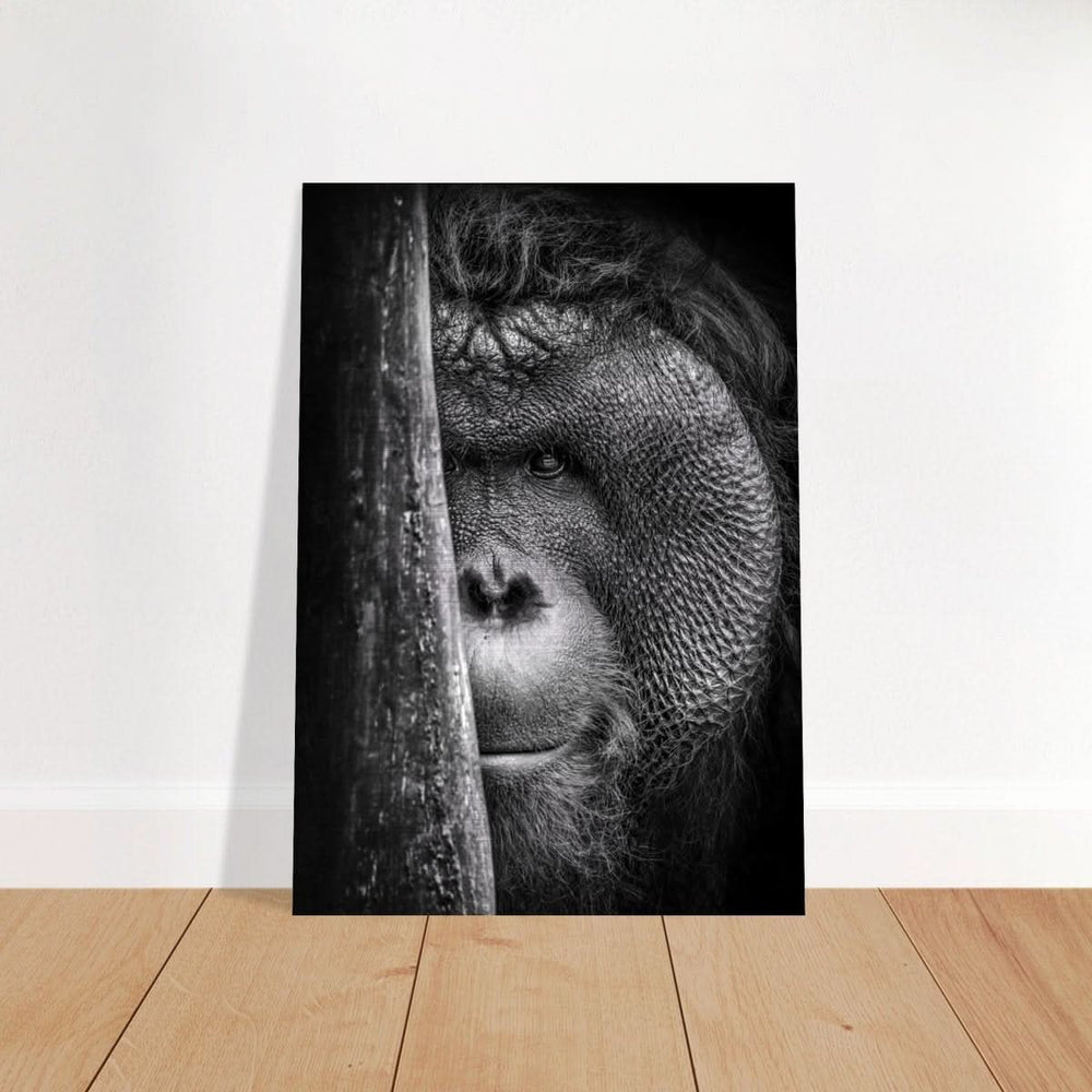 Da Vinci Animal Kingdom Wall art | Wildlife | Apes - Brushed Aluminum Print - 70x100 cm / 28x40″ -