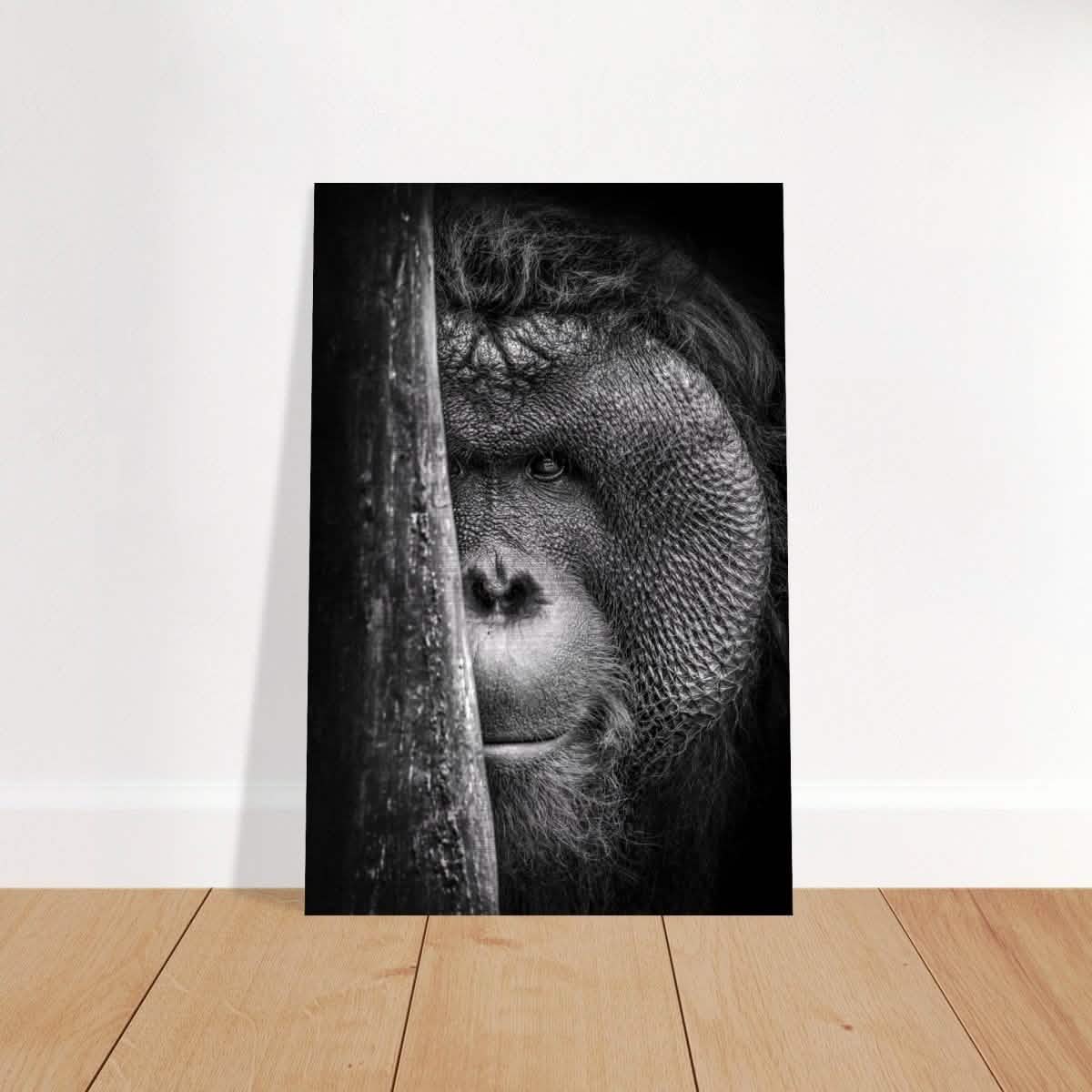Da Vinci Animal Kingdom Wall art | Wildlife | Apes - Brushed Aluminum Print - 40x60 cm / 16x24″ -
