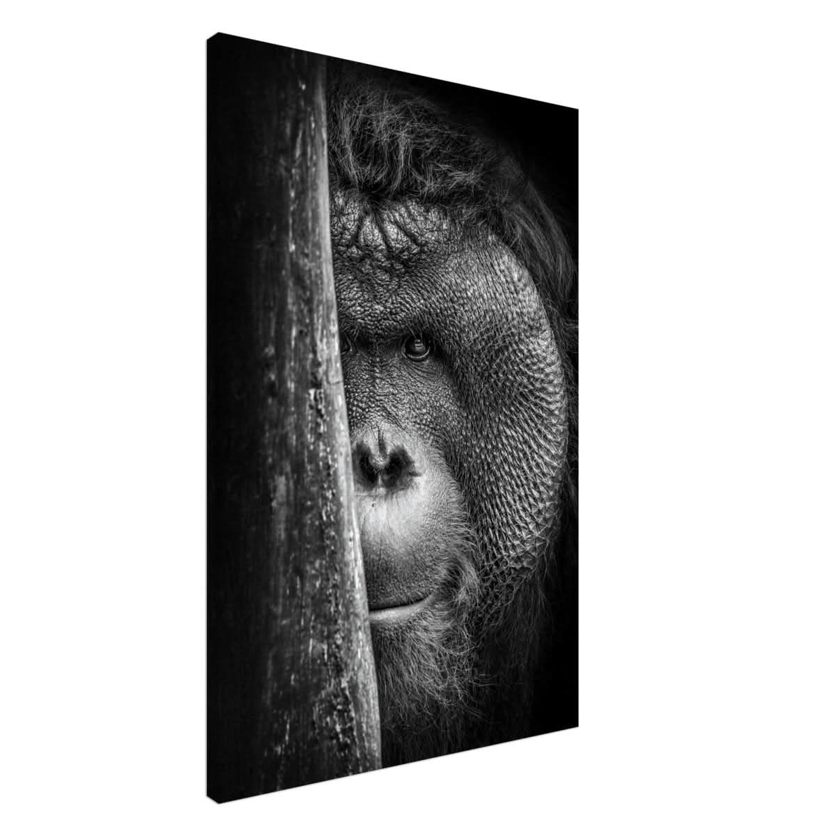 Da Vinci Animal Kingdom Wall art | Wildlife | Apes - Canvas - 60x90 cm / 24x36″ - Slim
