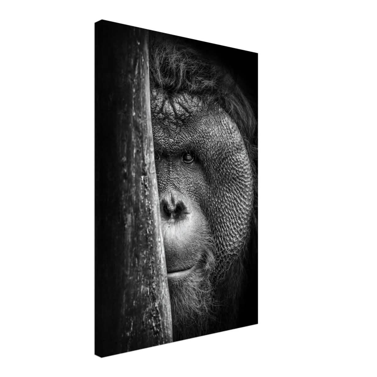 Da Vinci Animal Kingdom Wall art | Wildlife | Apes - Canvas - 50x75 cm / 20x30″ - Thick