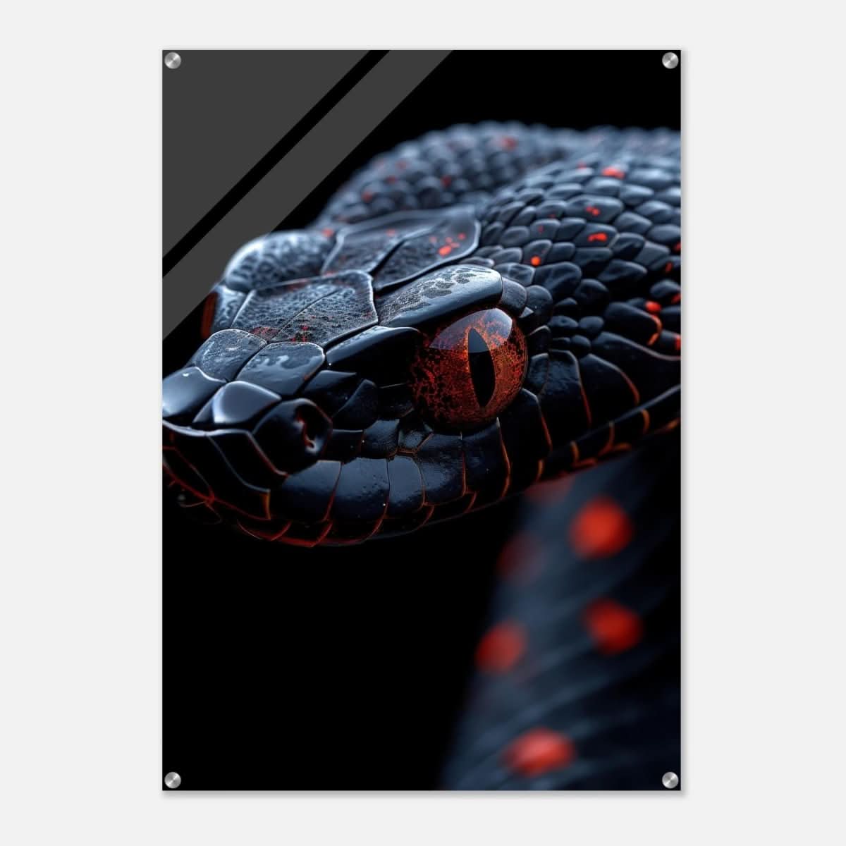 Da Vinci Animal Kingdom Wall art | Wildlife | Black Mamba | snake - Acrylic Print - 70x100 cm / 28x40″ -