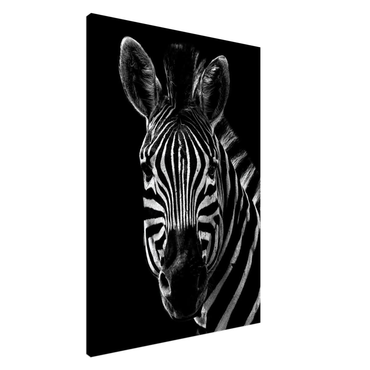 Da Vinci Animal Wall art | Zebra| Animal black and white Prints - Canvas - 70x100 cm / 28x40″ - Slim