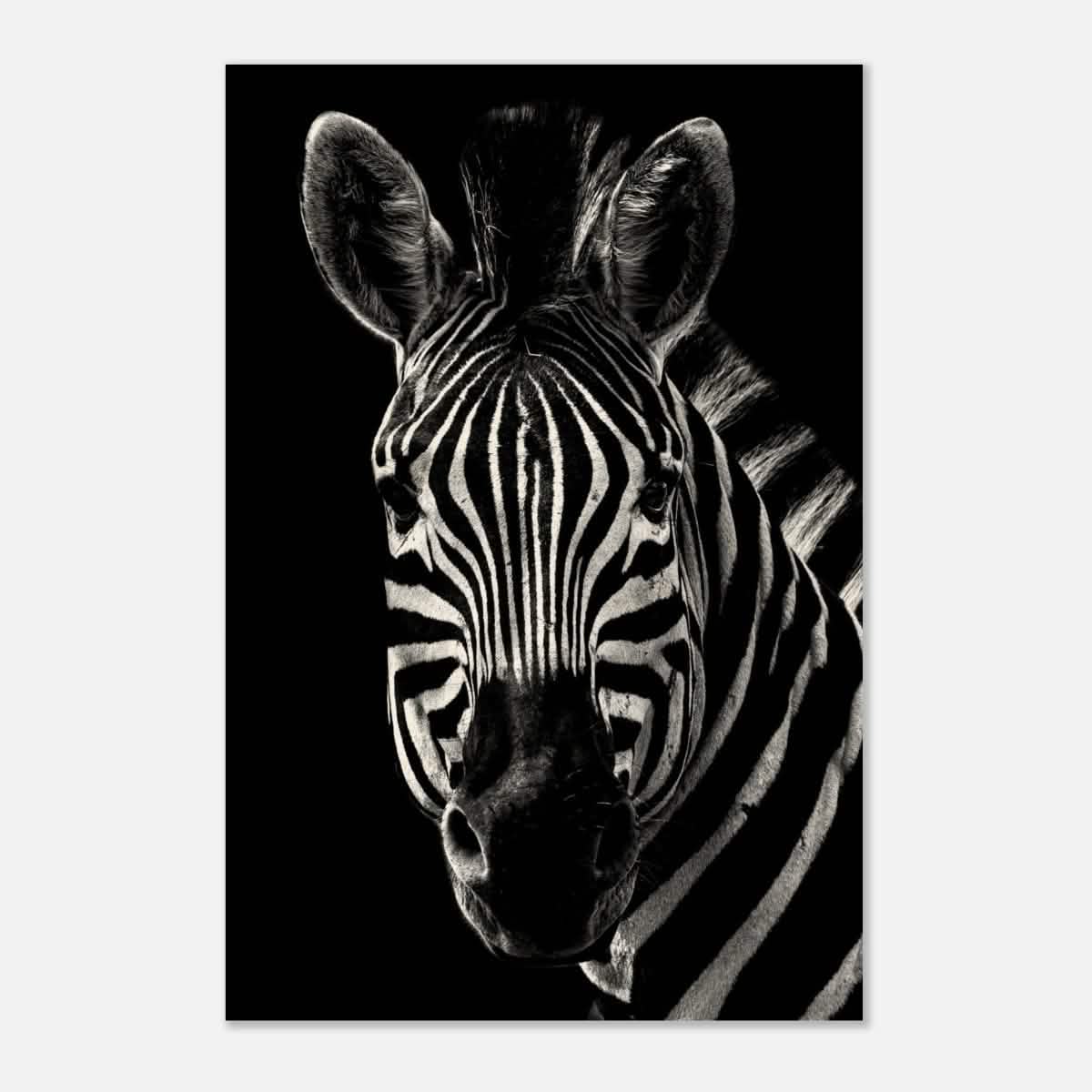 Da Vinci Animal Wall art | Zebra| Animal black and white Prints - Wood Prints - 60x90 cm / 24x36″ - 10 mm