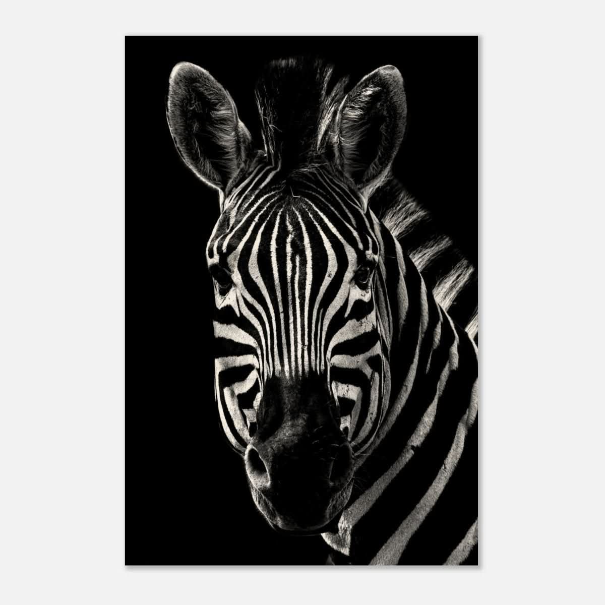 Da Vinci Animal Wall art | Zebra| Animal black and white Prints - Wood Prints - 40x60 cm / 16x24″ - 10 mm
