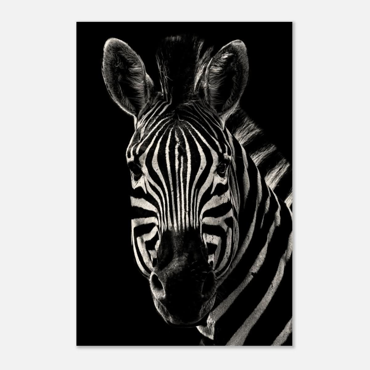 Da Vinci Animal Wall art | Zebra| Animal black and white Prints - Wood Prints - 50x75 cm / 20x30″ - 20 mm