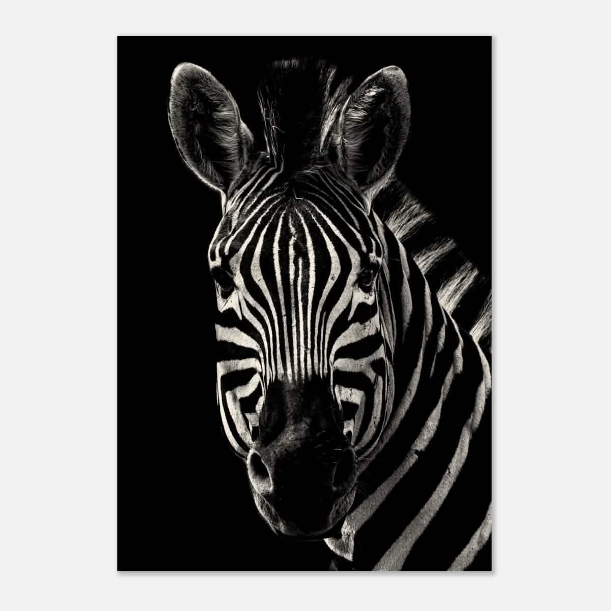 Da Vinci Animal Wall art | Zebra| Animal black and white Prints - Wood Prints - 70x100 cm / 28x40″ - 20 mm