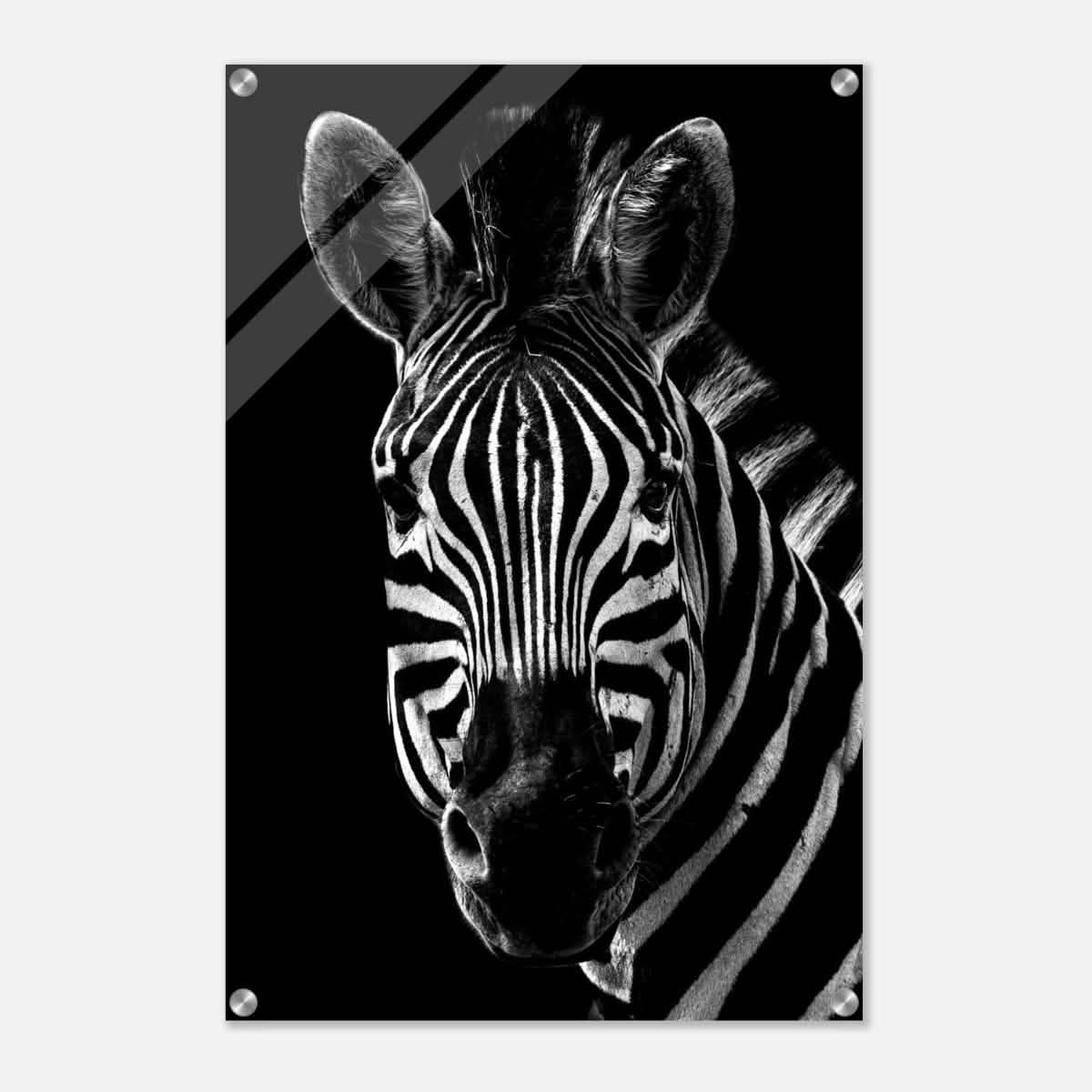Da Vinci Animal Wall art | Zebra| Animal black and white Prints - Acrylic Print - 50x75 cm / 20x30″ -