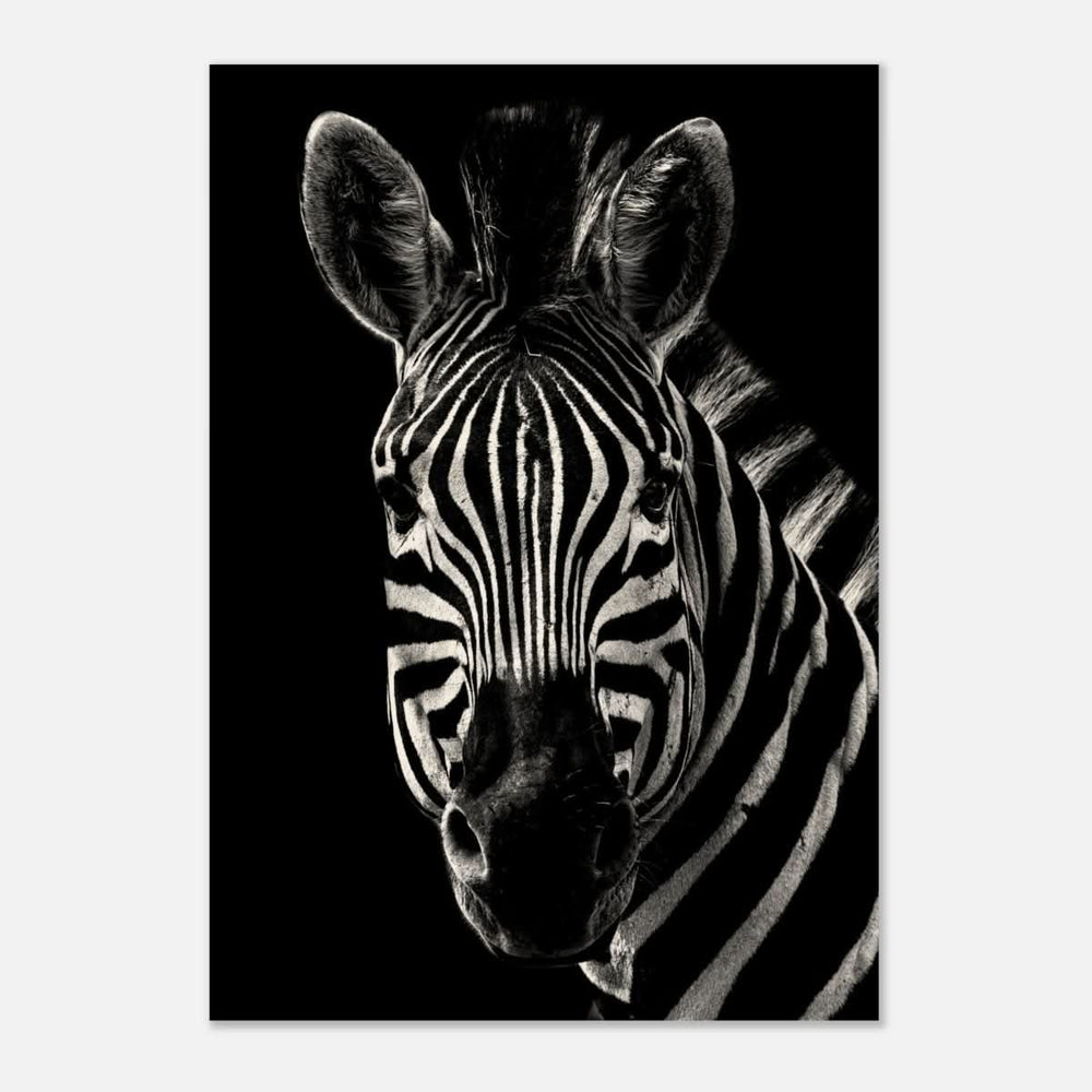 Da Vinci Animal Wall art | Zebra| Animal black and white Prints - Wood Prints - 70x100 cm / 28x40″ - 10 mm