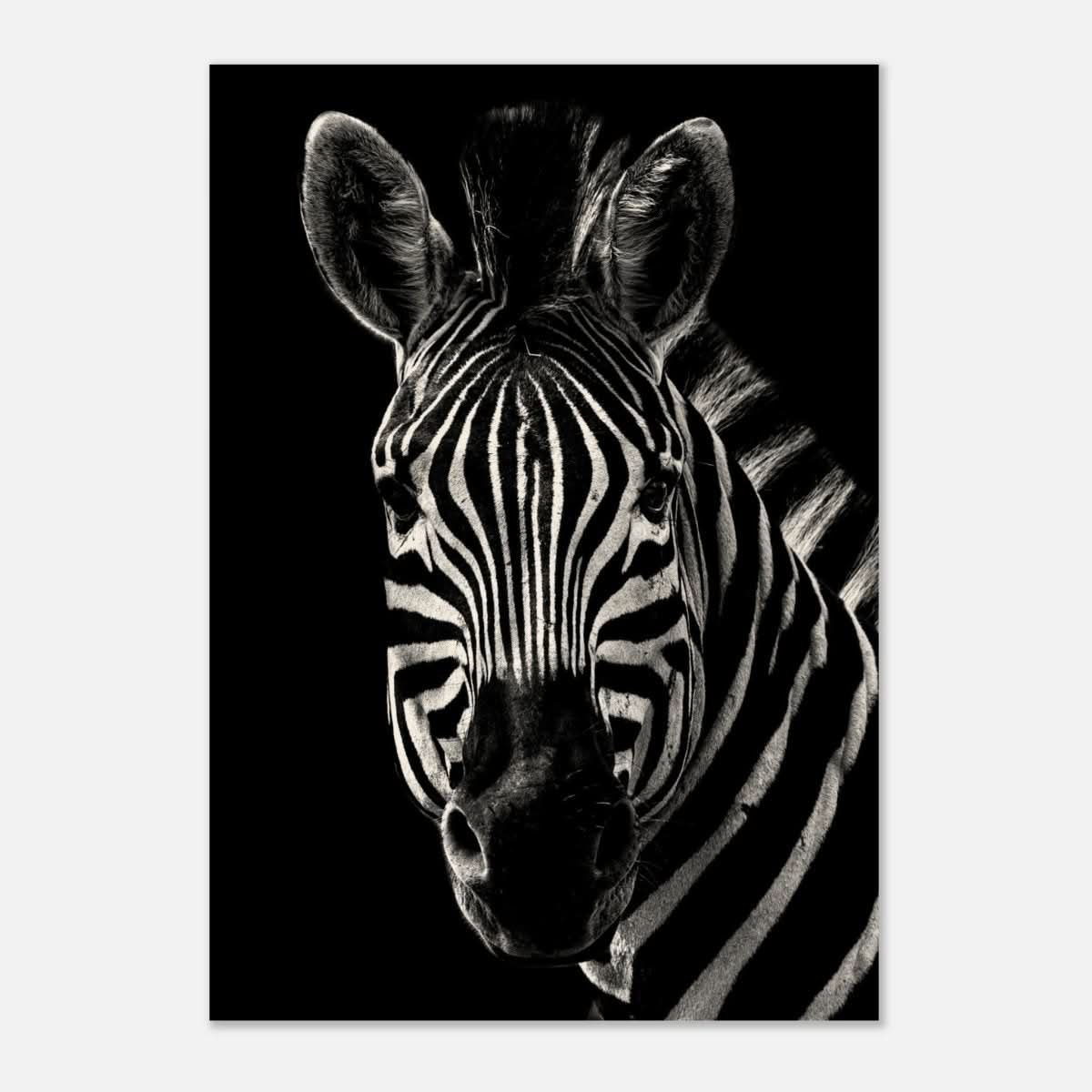 Da Vinci Animal Wall art | Zebra| Animal black and white Prints - Wood Prints - 70x100 cm / 28x40″ - 10 mm
