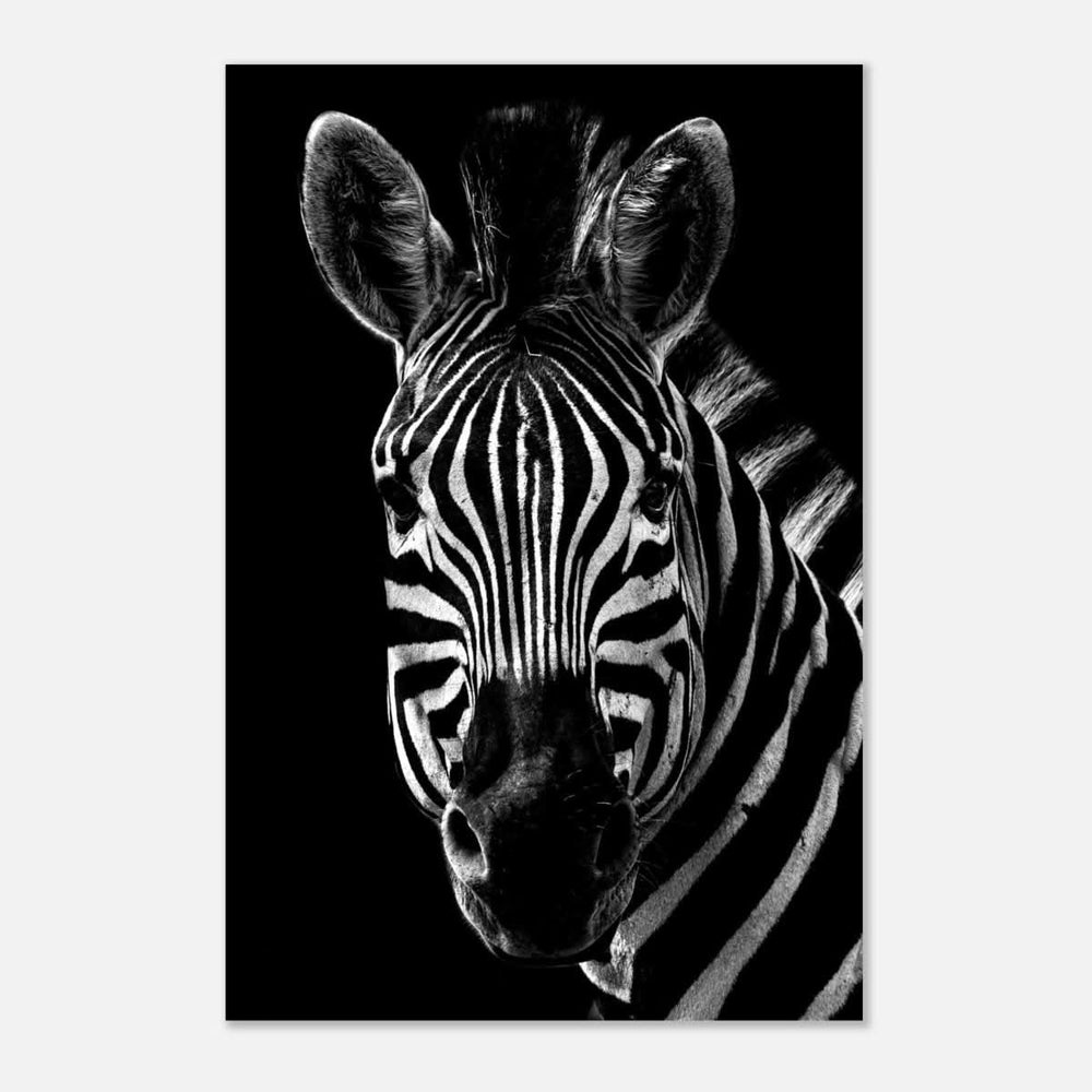 Da Vinci Animal Wall art | Zebra| Animal black and white Prints - Aluminum Print - 60x90 cm / 24x36″ -