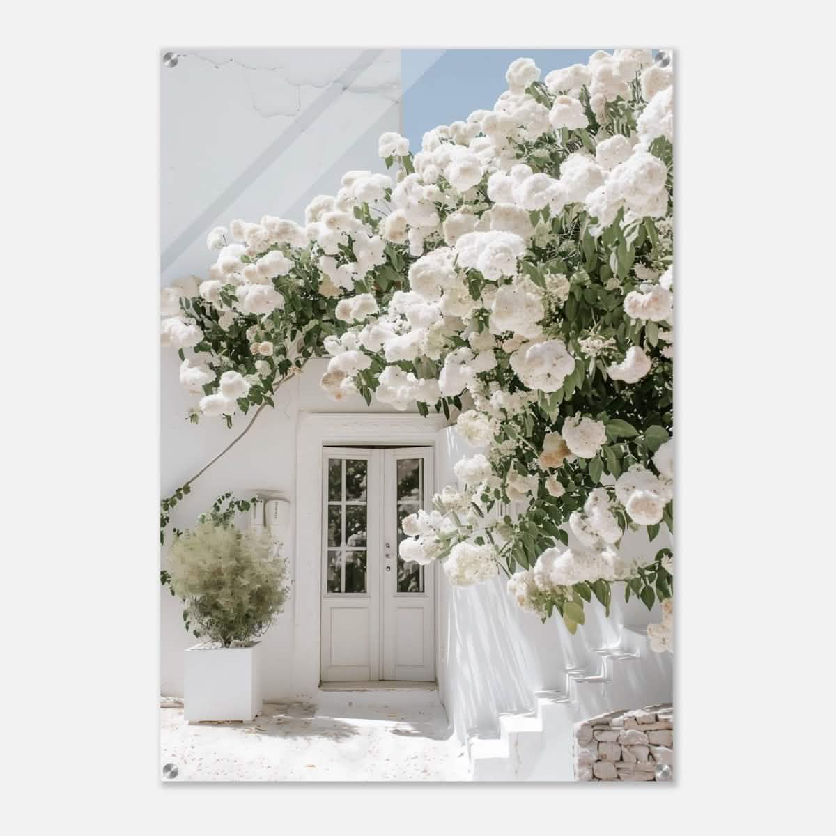 Da Vinci City Nature Wall art print - Acrylic Print - 70x100 cm / 28x40″ -