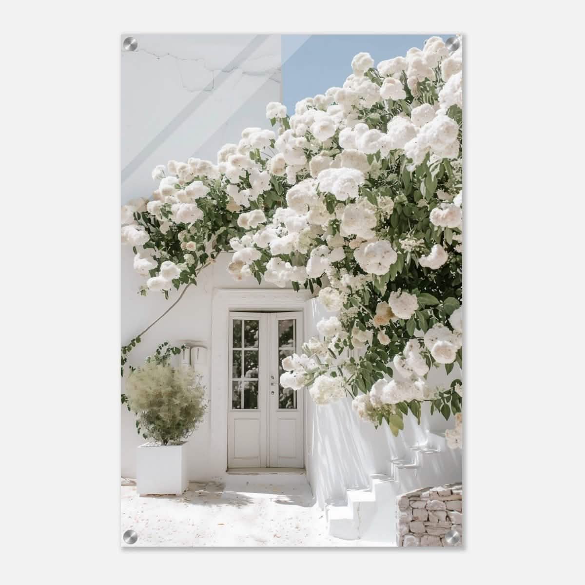 Da Vinci City Nature Wall art print - Acrylic Print - 50x75 cm / 20x30″ -