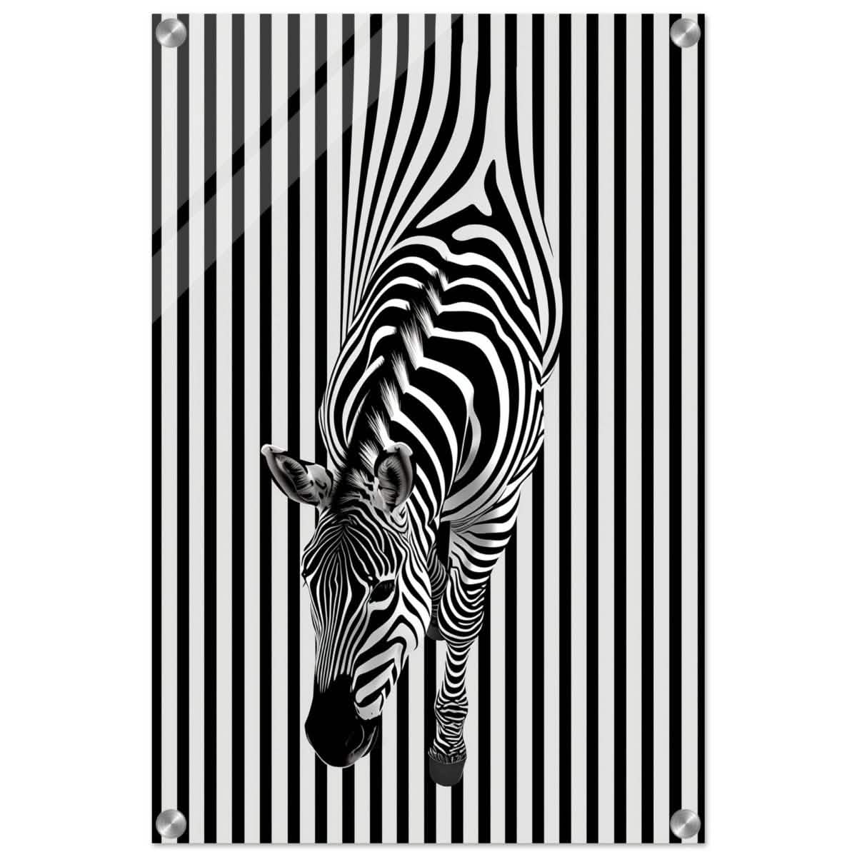 Da Vinci Minimalist Wall art | Wildlife | Zebra - Acrylic Print - 40x60 cm / 16x24″ -