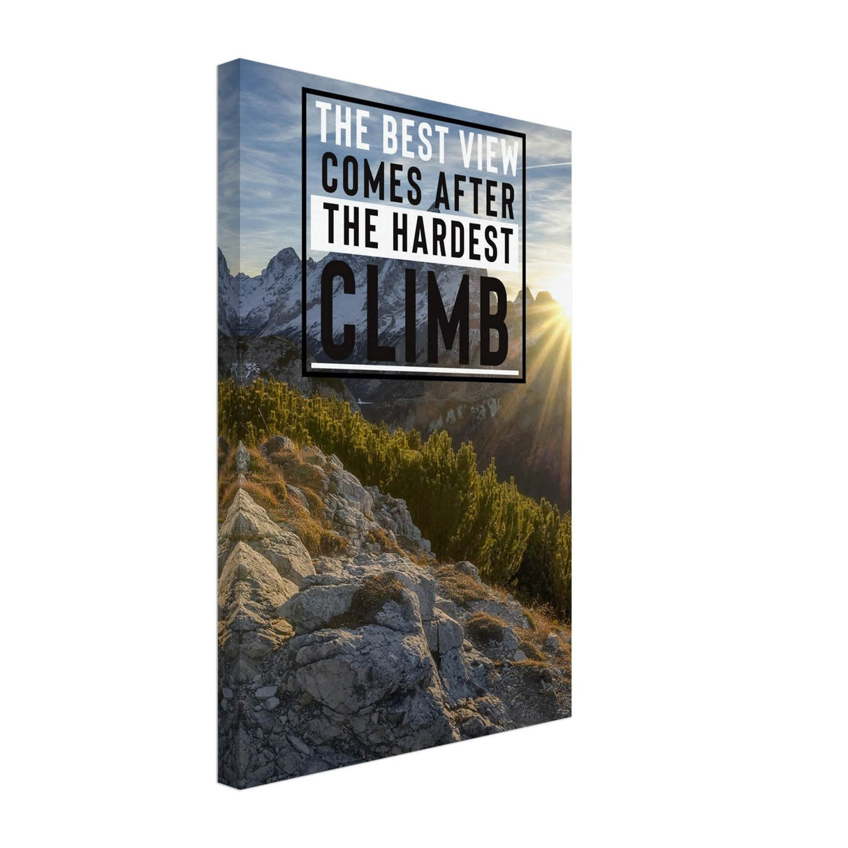Da Vinci Motivational Wall Art | Climb - Canvas - 30x45 cm / 12x18″ - Slim