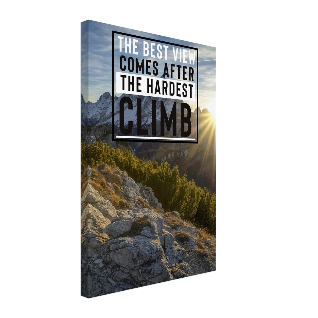 Da Vinci Motivational Wall Art | Climb - Canvas - 40x60 cm / 16x24″ - Thick