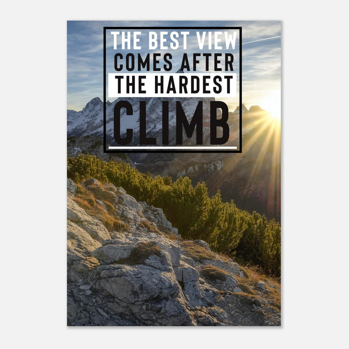 Da Vinci Motivational Wall Art | Climb - Aluminum Print - 70x100 cm / 28x40″ -