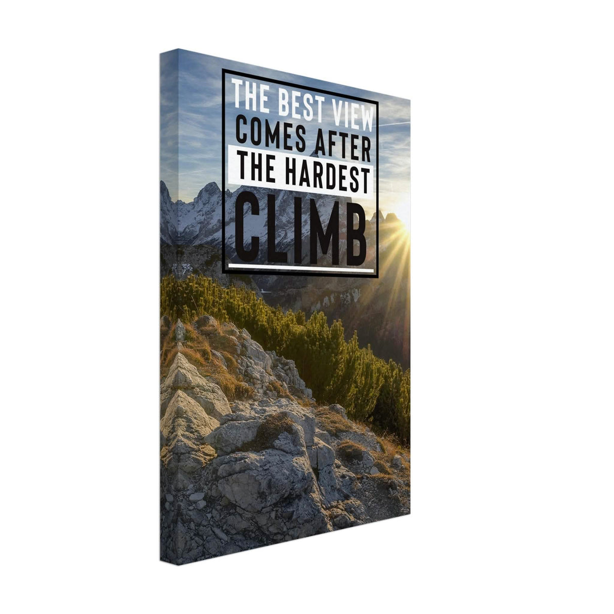 Da Vinci Motivational Wall Art | Climb - Canvas - 30x45 cm / 12x18″ - Thick