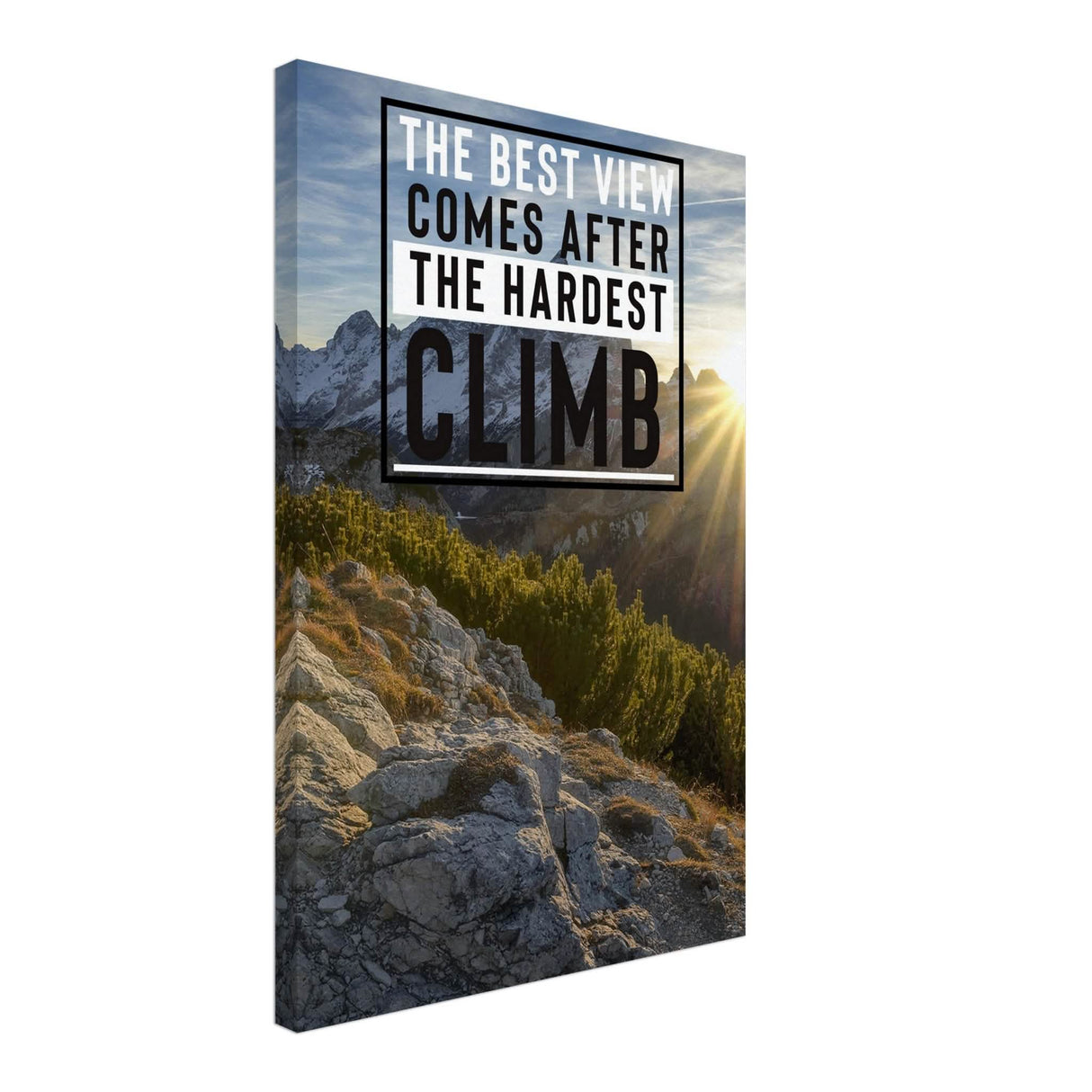 Da Vinci Motivational Wall Art | Climb - Canvas - 40x60 cm / 16x24″ - Slim