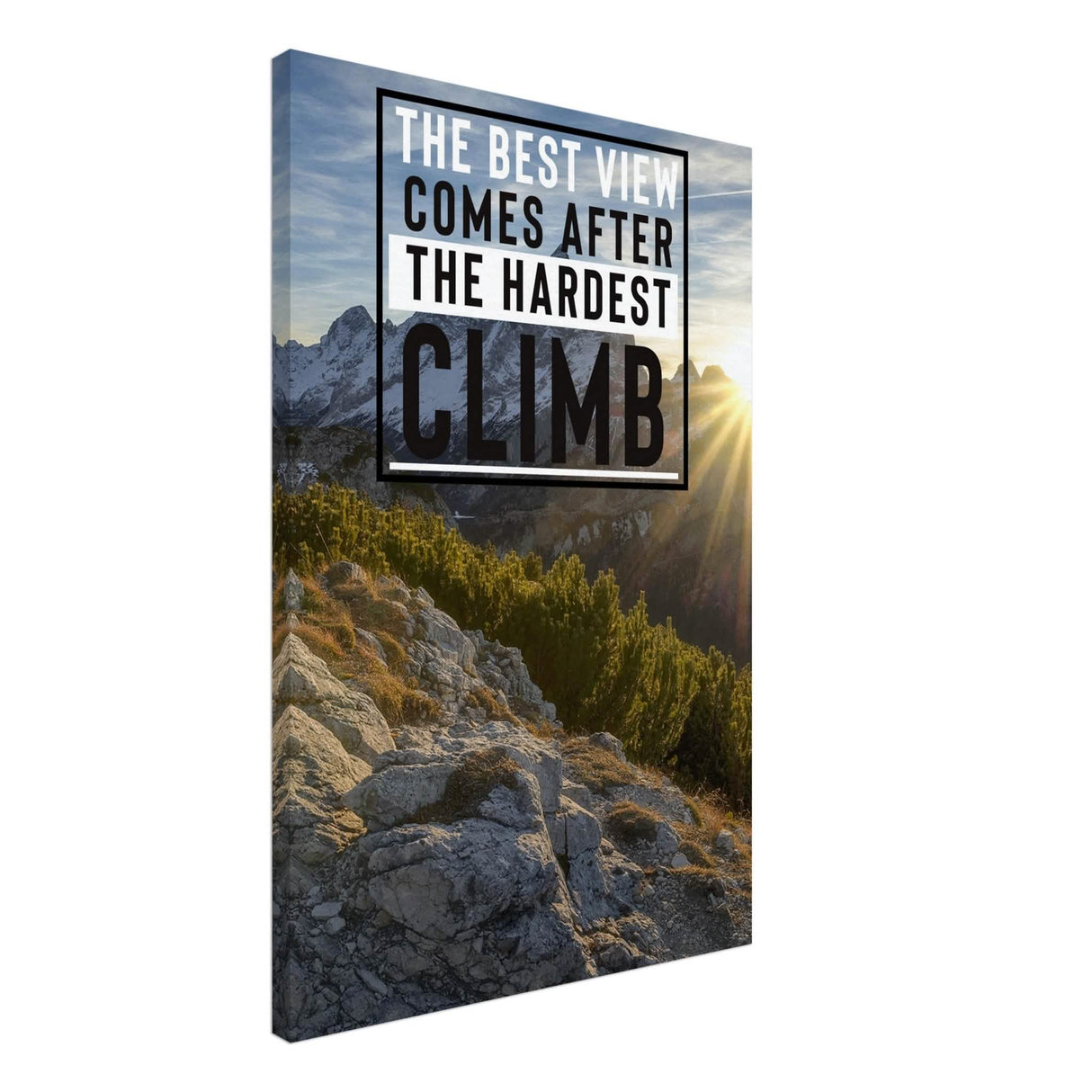 Da Vinci Motivational Wall Art | Climb - Canvas - 50x75 cm / 20x30″ - Slim