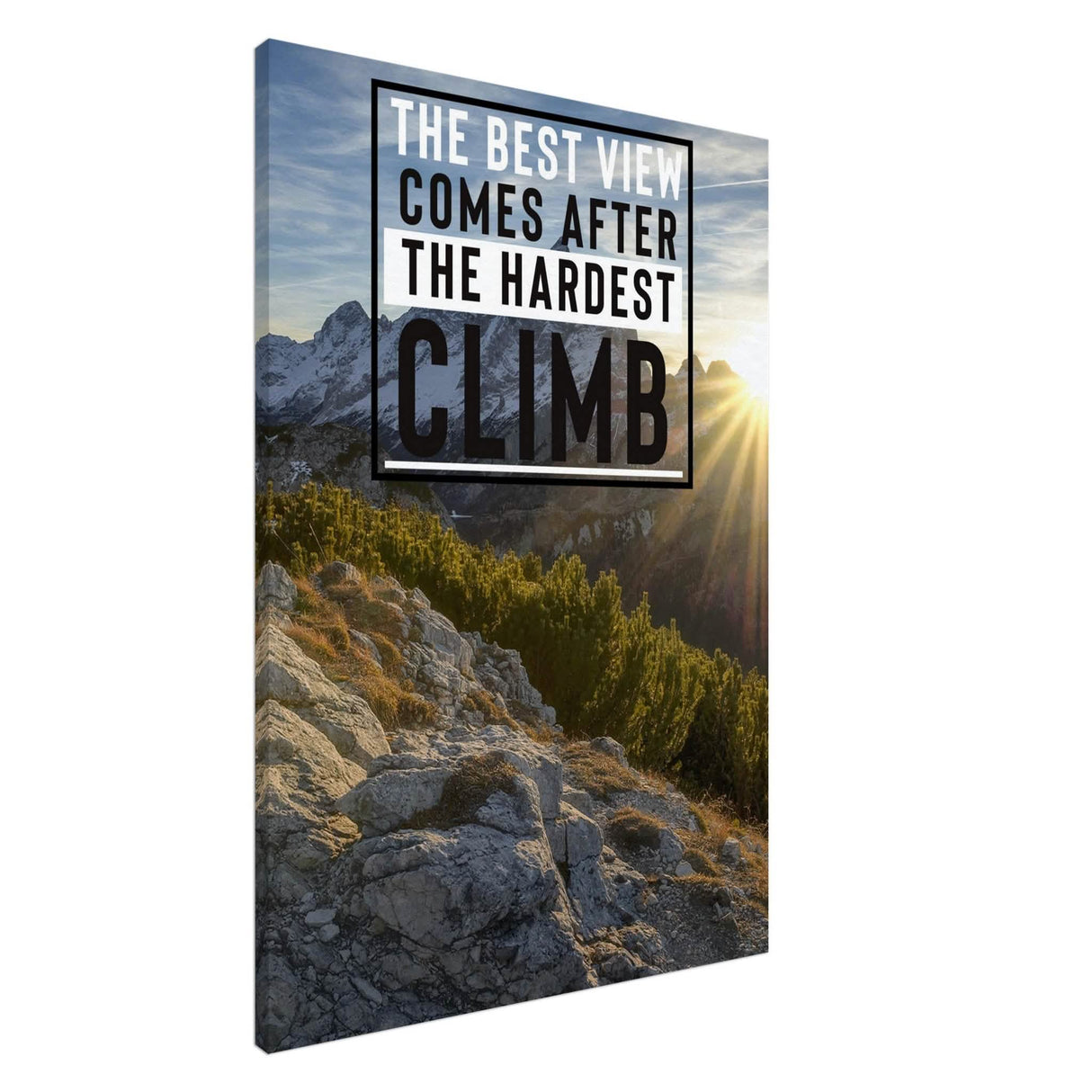 Da Vinci Motivational Wall Art | Climb - Canvas - 70x100 cm / 28x40″ - Slim