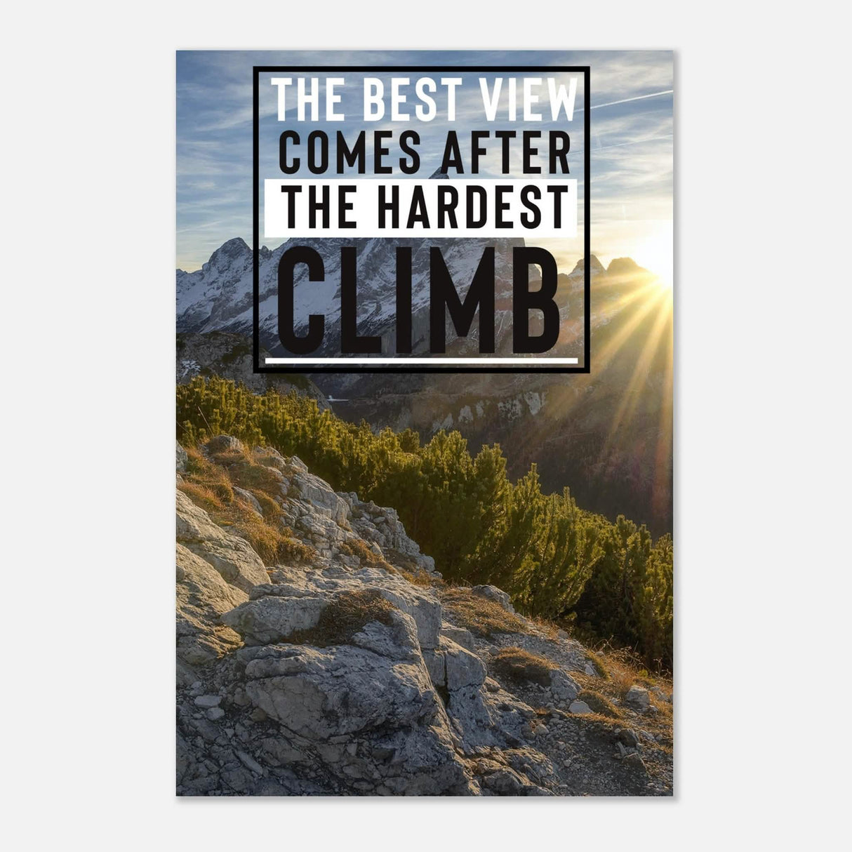 Da Vinci Motivational Wall Art | Climb - Aluminum Print - 60x90 cm / 24x36″ -