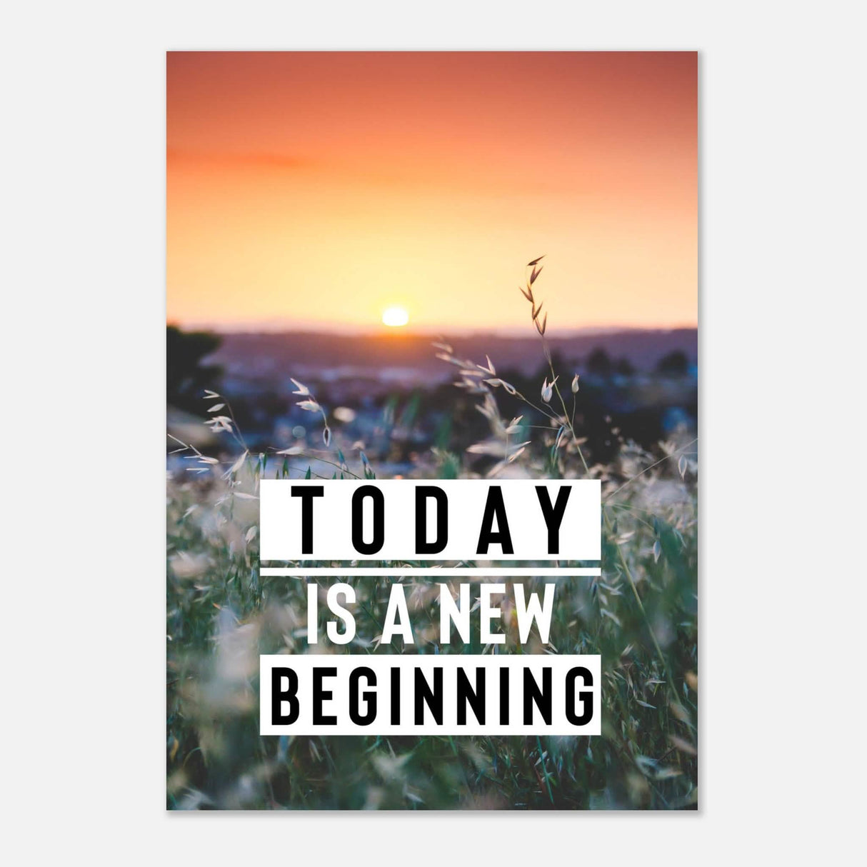 Da Vinci Motivational Wall Art | New Beginning - Aluminum Print - 70x100 cm / 28x40″ -