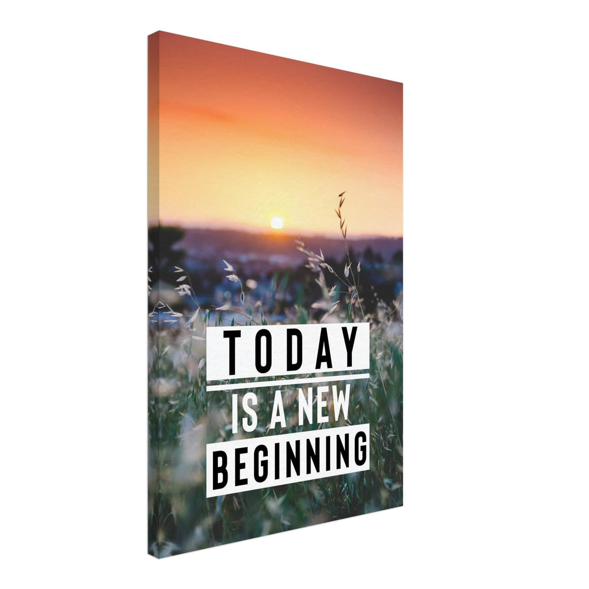 Da Vinci Motivational Wall Art | New Beginning - Canvas - 50x75 cm / 20x30″ - Thick
