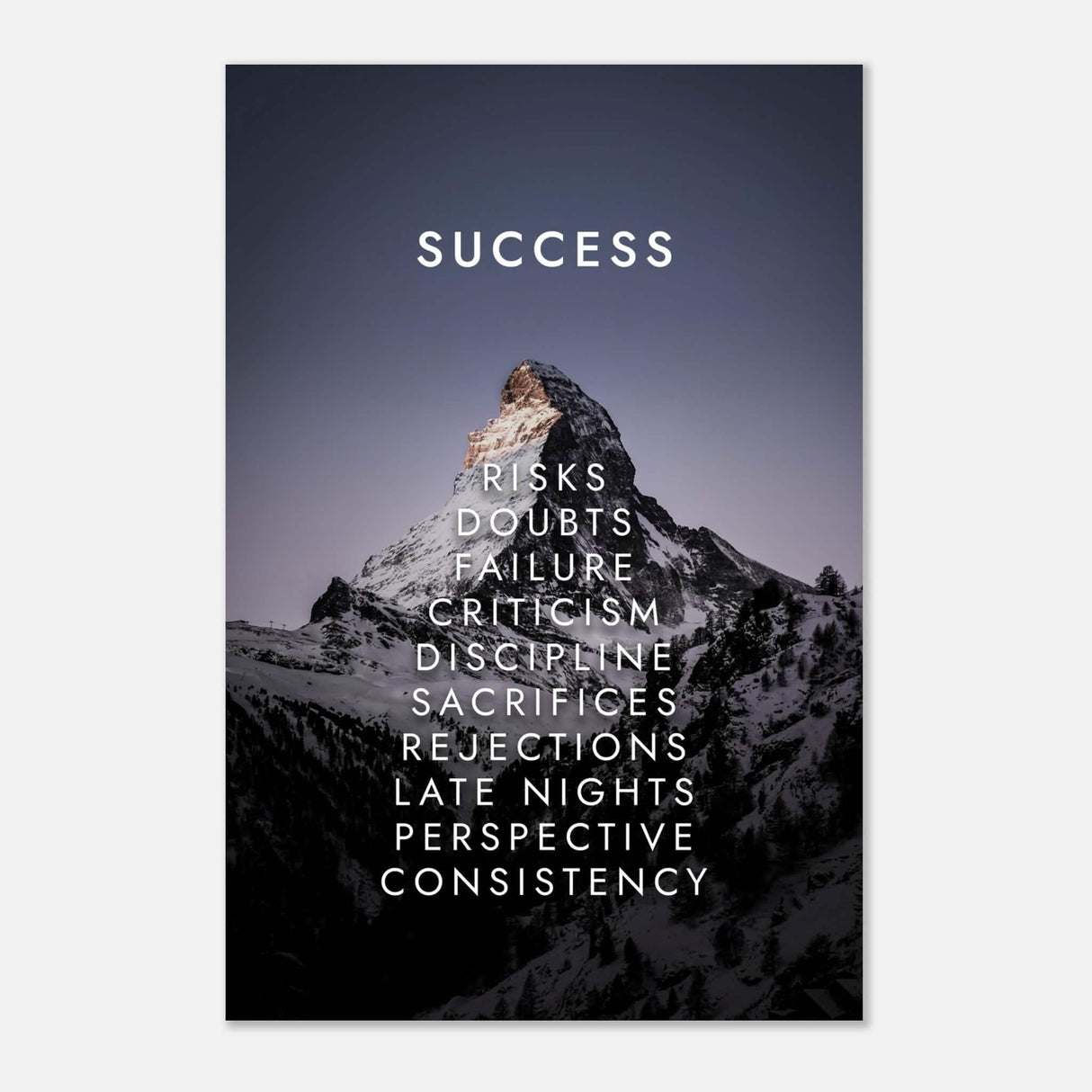 Da Vinci Motivational Wall Art | Success - Aluminum Print - 30x45 cm / 12x18″ -