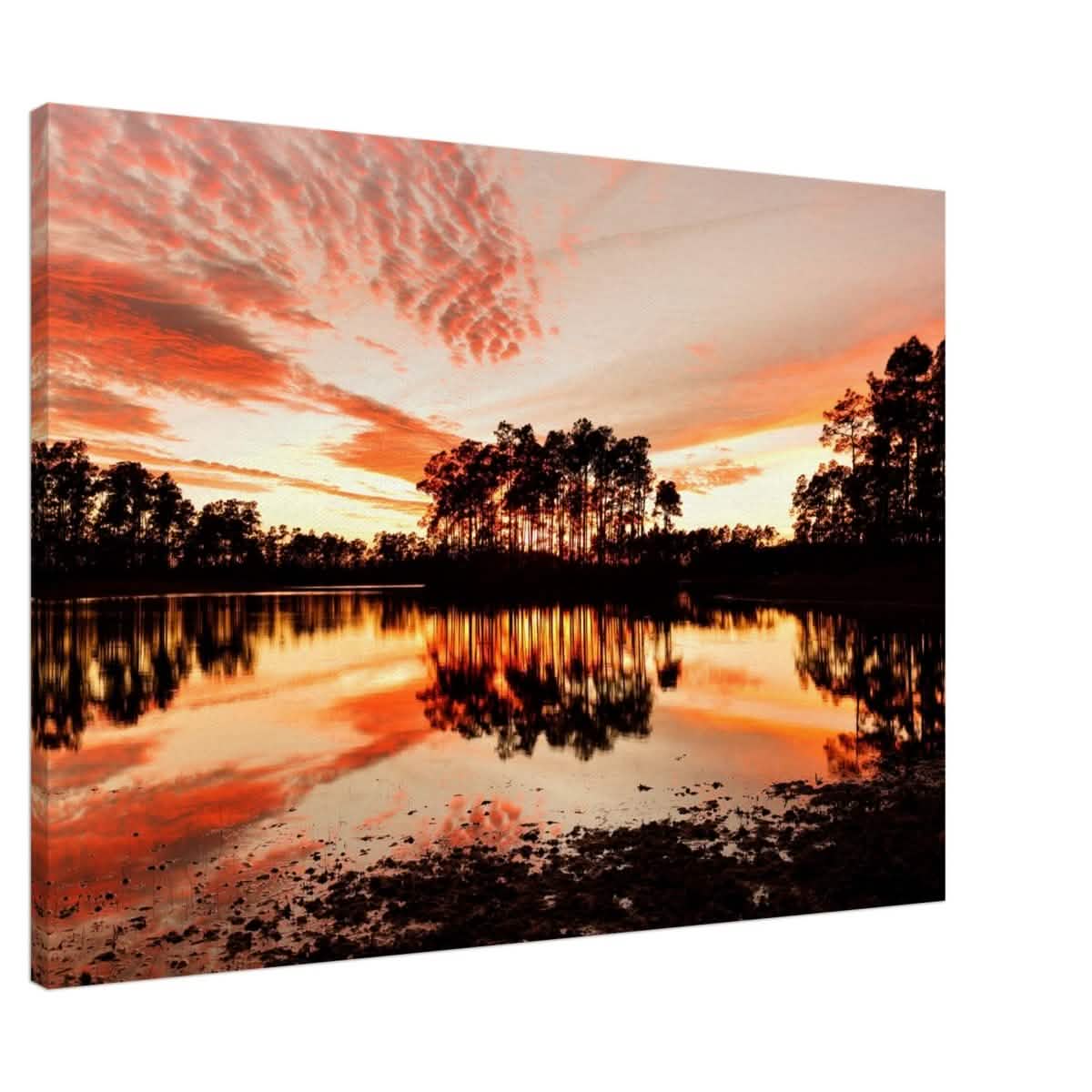 Da Vinci Nature Art Wall art print | Sunset - Acrylic Print - 30x45 cm / 12x18″ -