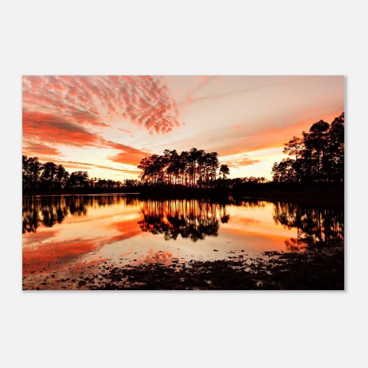 Da Vinci Nature Art Wall art print | Sunset - Aluminum Print - 30x45 cm / 12x18″ -