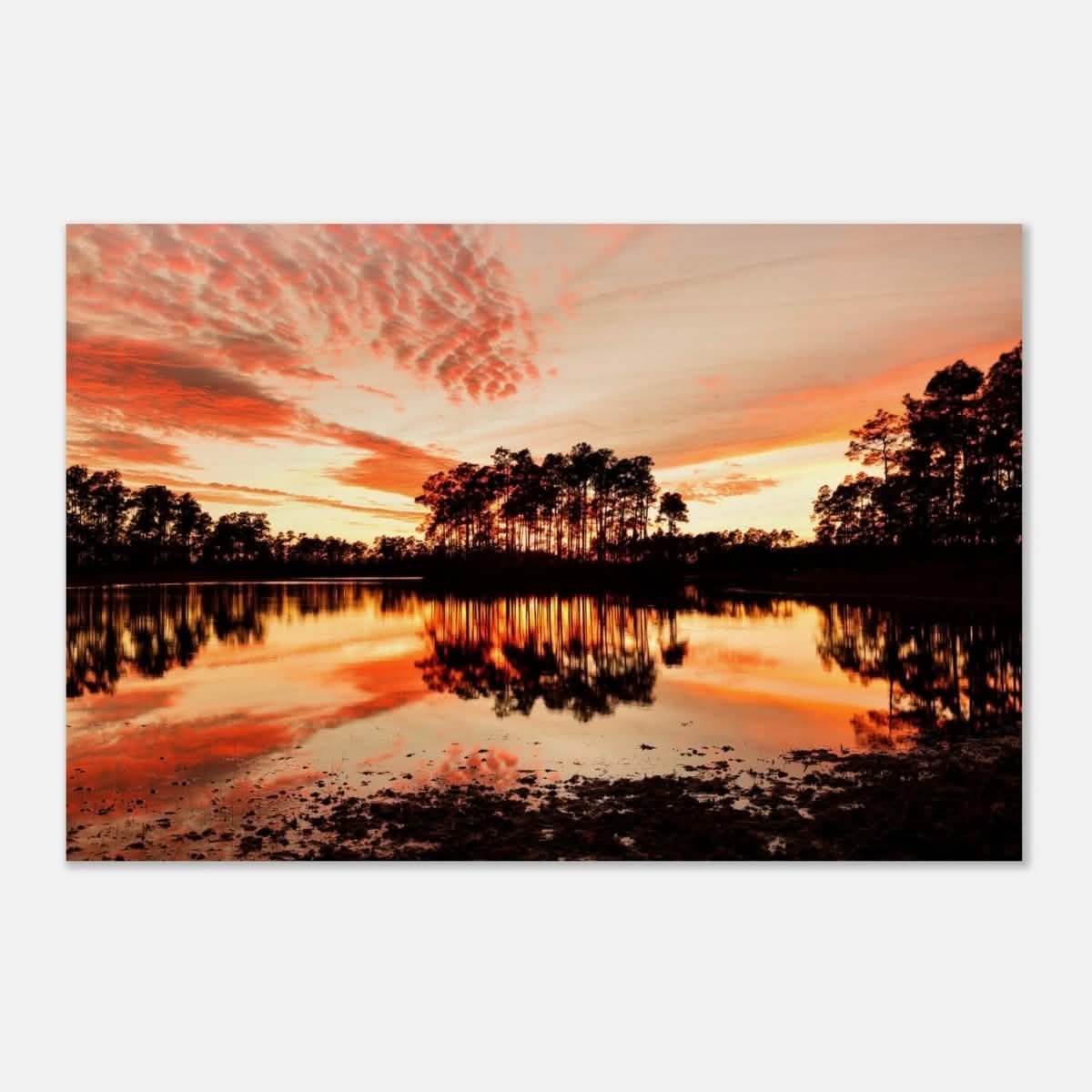 Da Vinci Nature Art Wall art print | Sunset - Acrylic Print - 30x45 cm / 12x18″ -