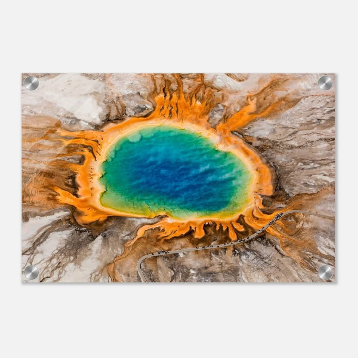 Da Vinci Nature Art Wall art print | Yellowstone National Park | Montana - Acrylic Print - 30x45 cm / 12x18″ -