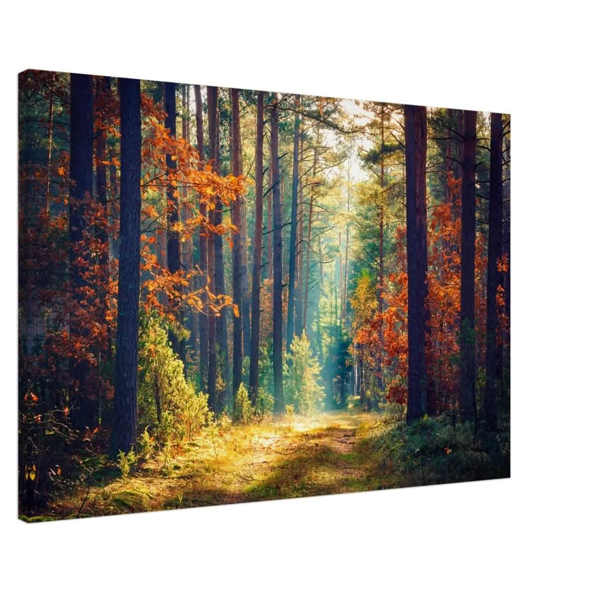 Da Vinci Nature Art Wall art print - Acrylic Print - 30x45 cm / 12x18″ -