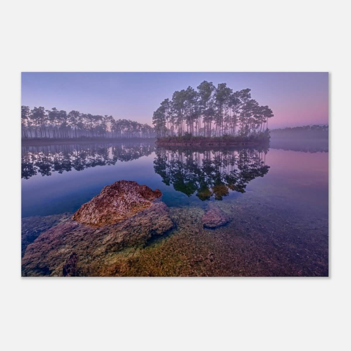 Da Vinci Nature Art Wall art print - Aluminum Print - 30x45 cm / 12x18″ -