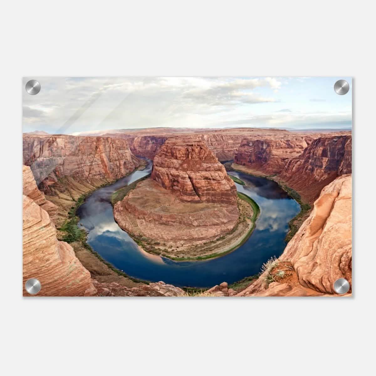 Da Vinci Nature Art Wall art print - Acrylic Print - 30x45 cm / 12x18″ -