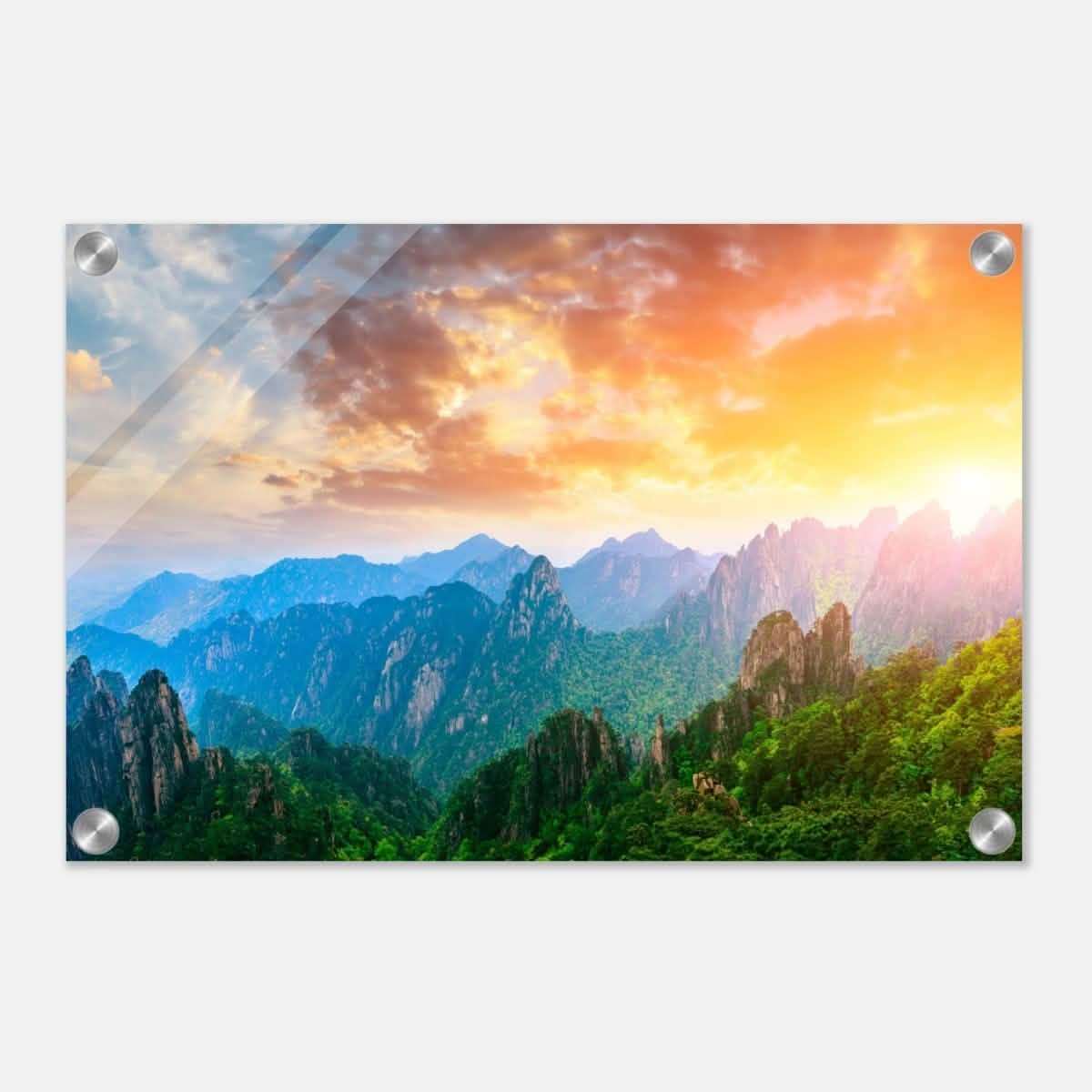 Da Vinci Nature Art Wall art print - Acrylic Print - 30x45 cm / 12x18″ -