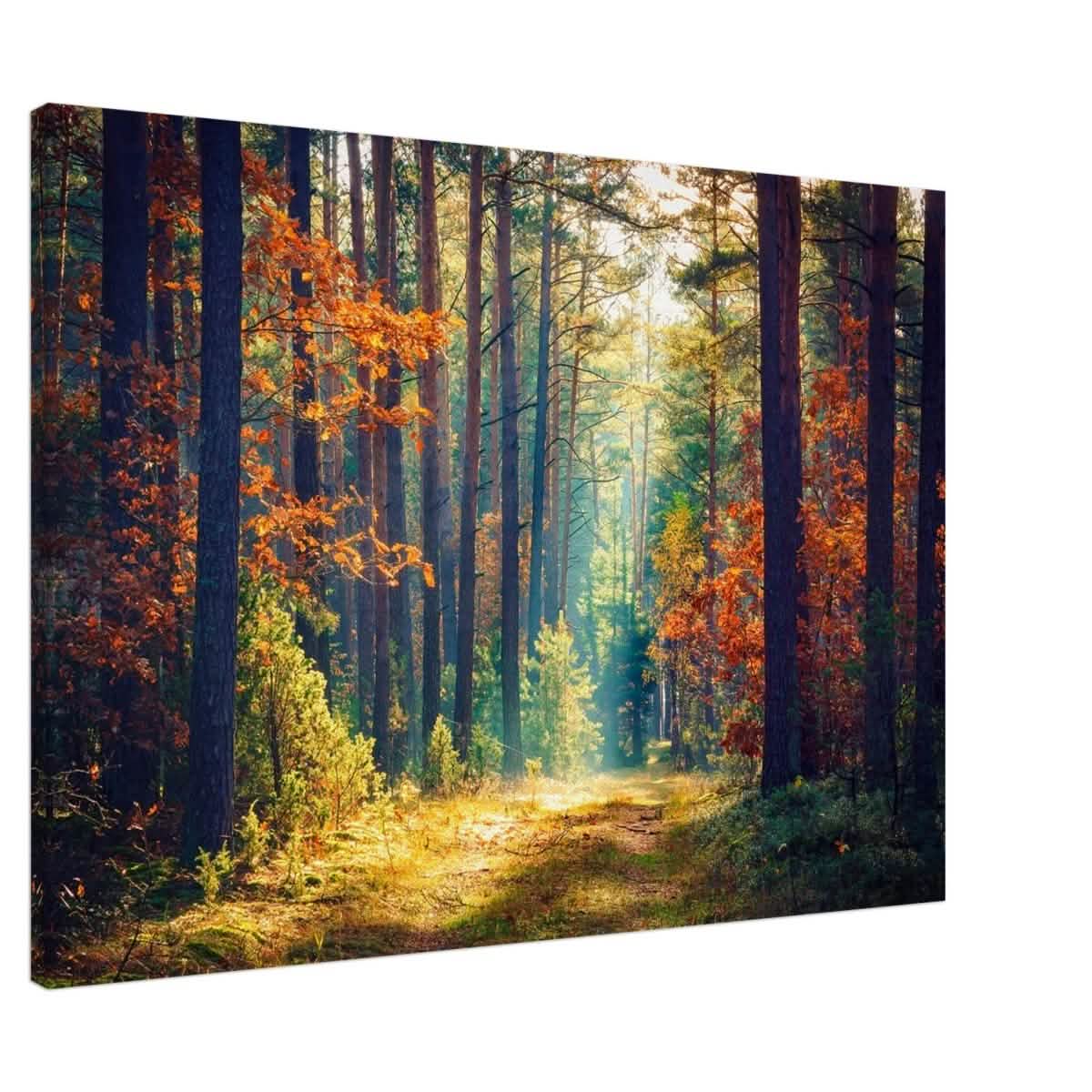 Da Vinci Nature Art Wall art print - Acrylic Print - 30x45 cm / 12x18″ -