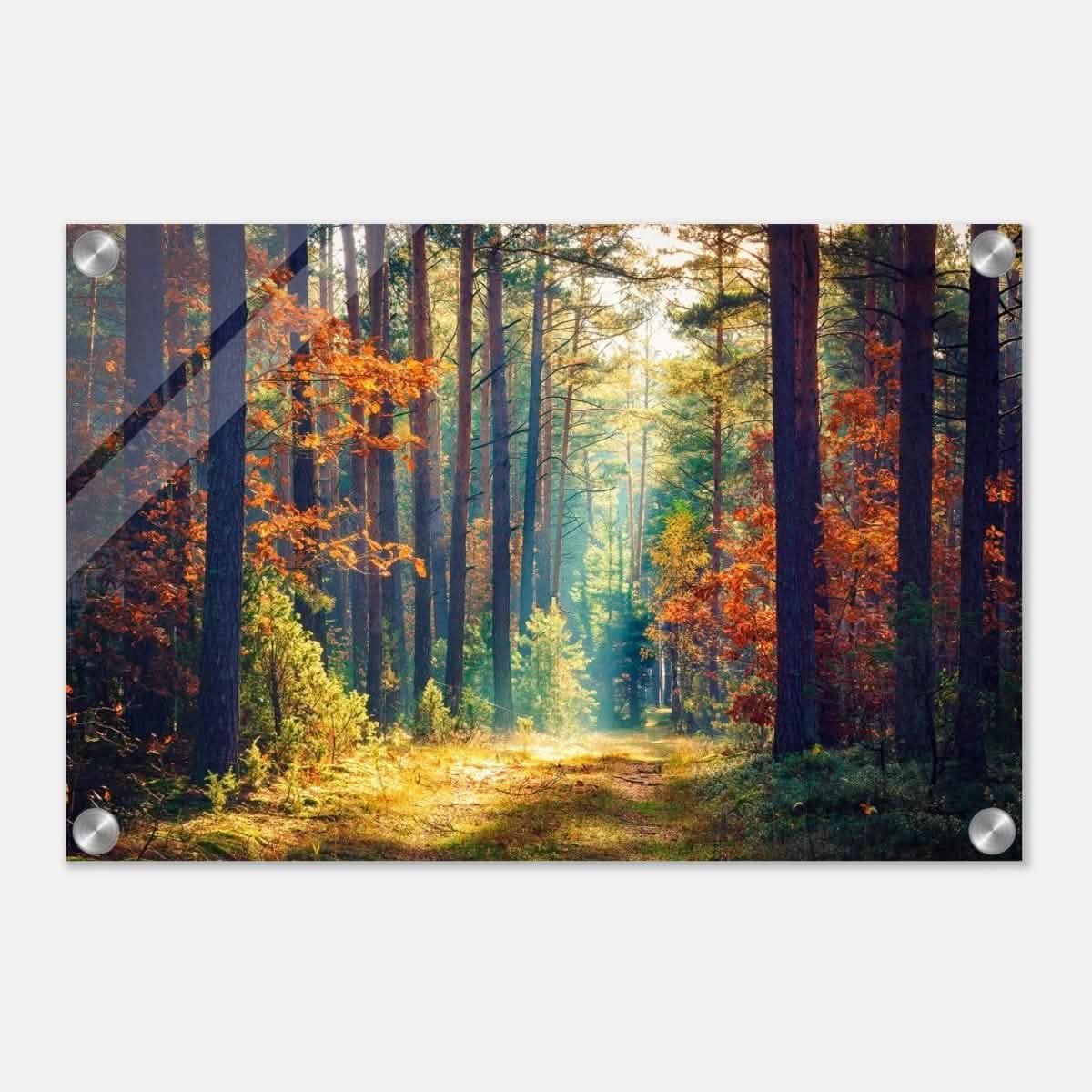 Da Vinci Nature Art Wall art print - Acrylic Print - 30x45 cm / 12x18″ -