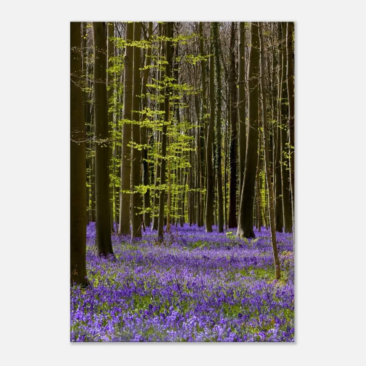 Da Vinci Nature Collection Wall Art Spring - 70x100 cm / 28x40″ - Thick -