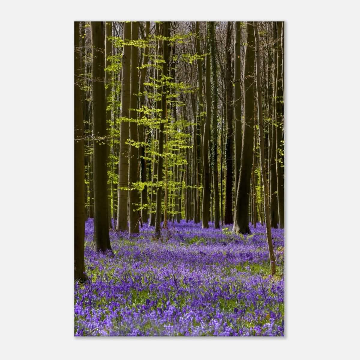 Da Vinci Nature Collection Wall Art Spring - 60x90 cm / 24x36″ - Slim -