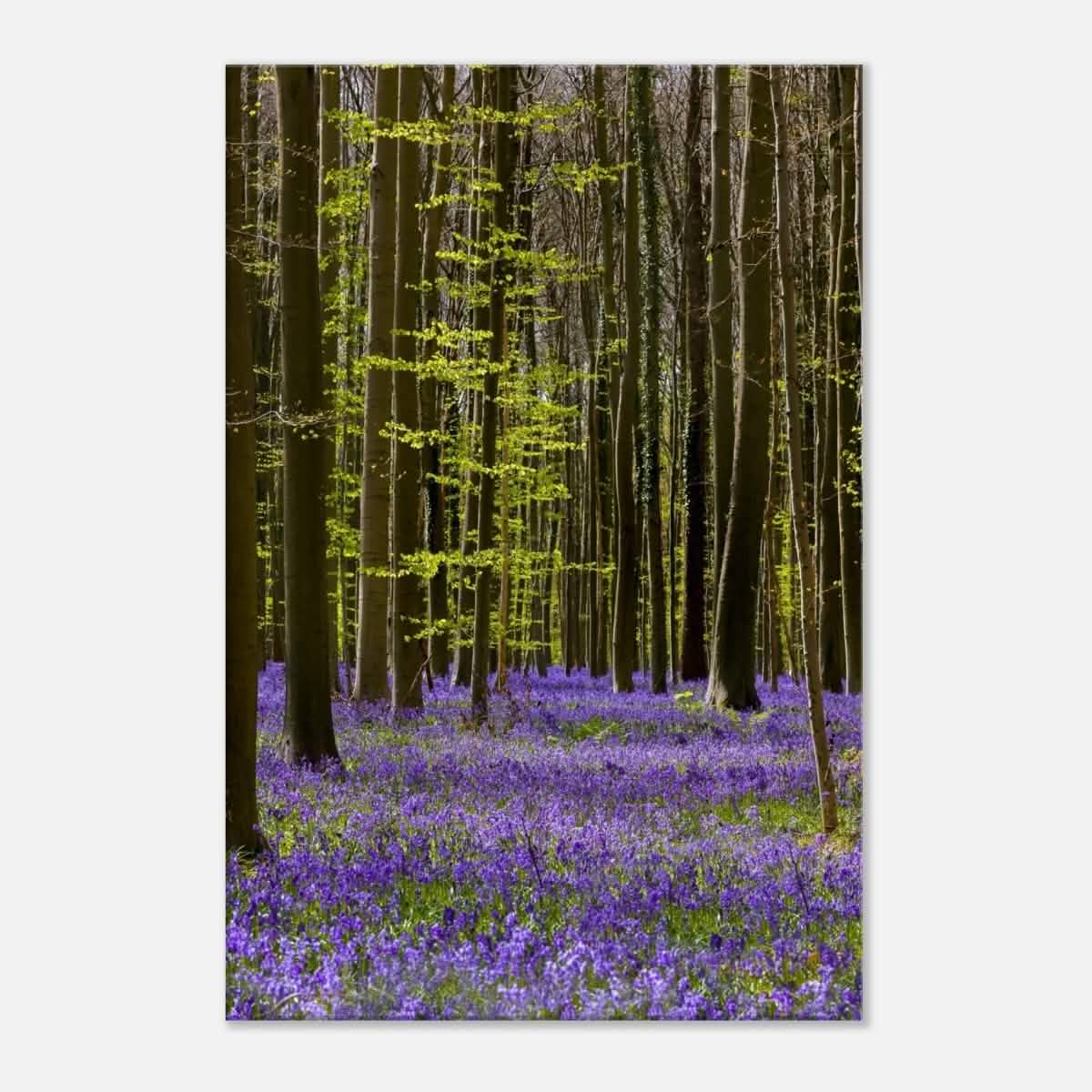 Da Vinci Nature Collection Wall Art Spring - 50x75 cm / 20x30″ - Thick -