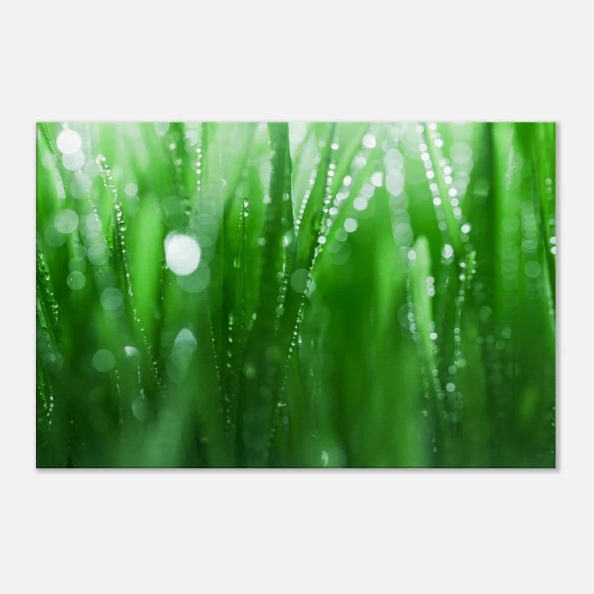 Da Vinci Nature Collection Wall Art - 60x90 cm / 24x36″ - Slim -